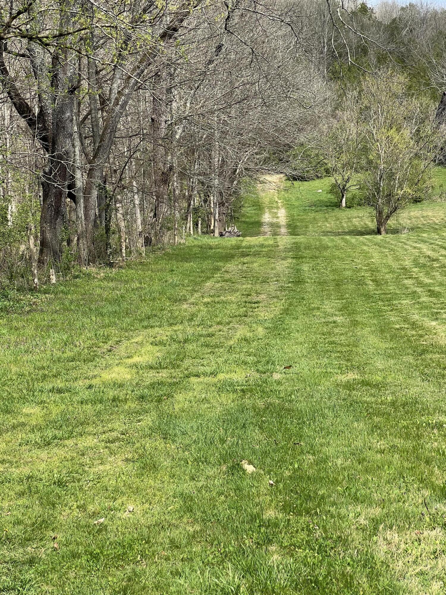5050 Dry Branch Road Property Photo 28