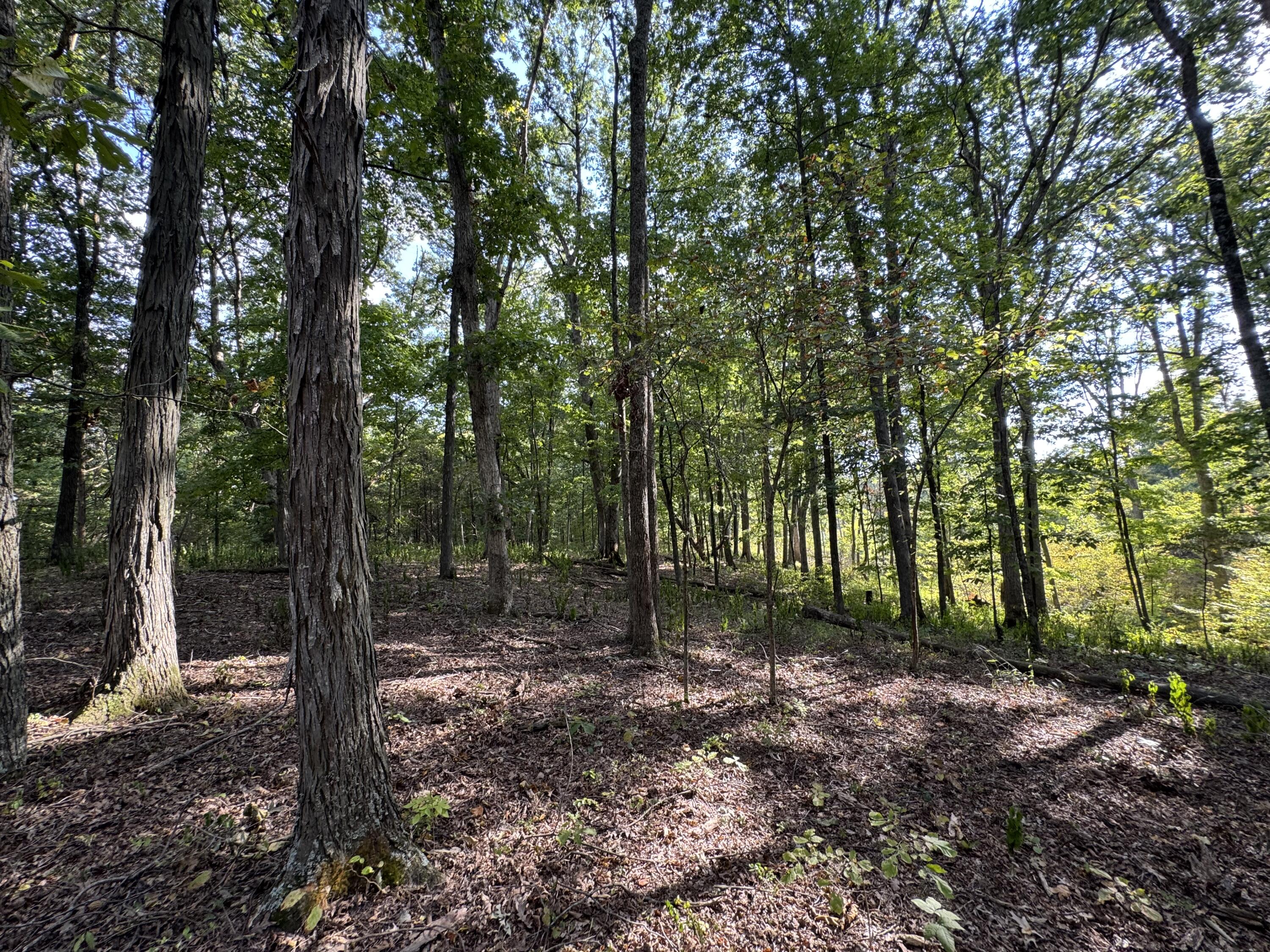 Phase 3 Fox Hollow Graefenburg Road Property Photo 11
