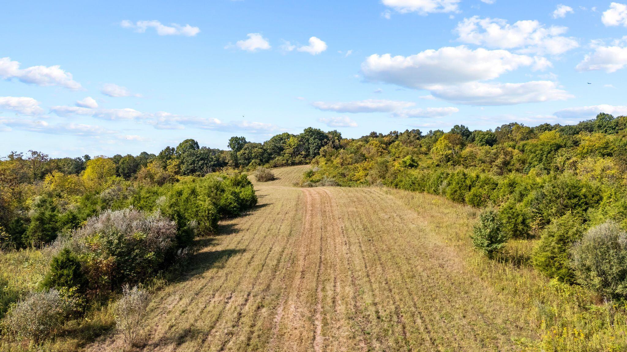 Phase 3 Fox Hollow Graefenburg Road Property Photo 26