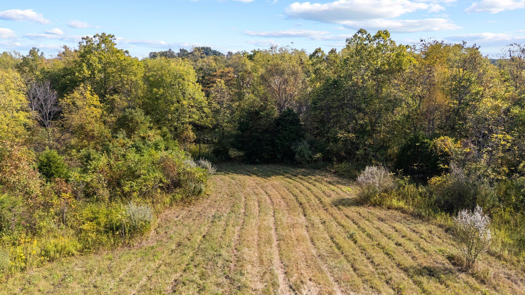 Phase 3 Fox Hollow Graefenburg Road Property Photo 27