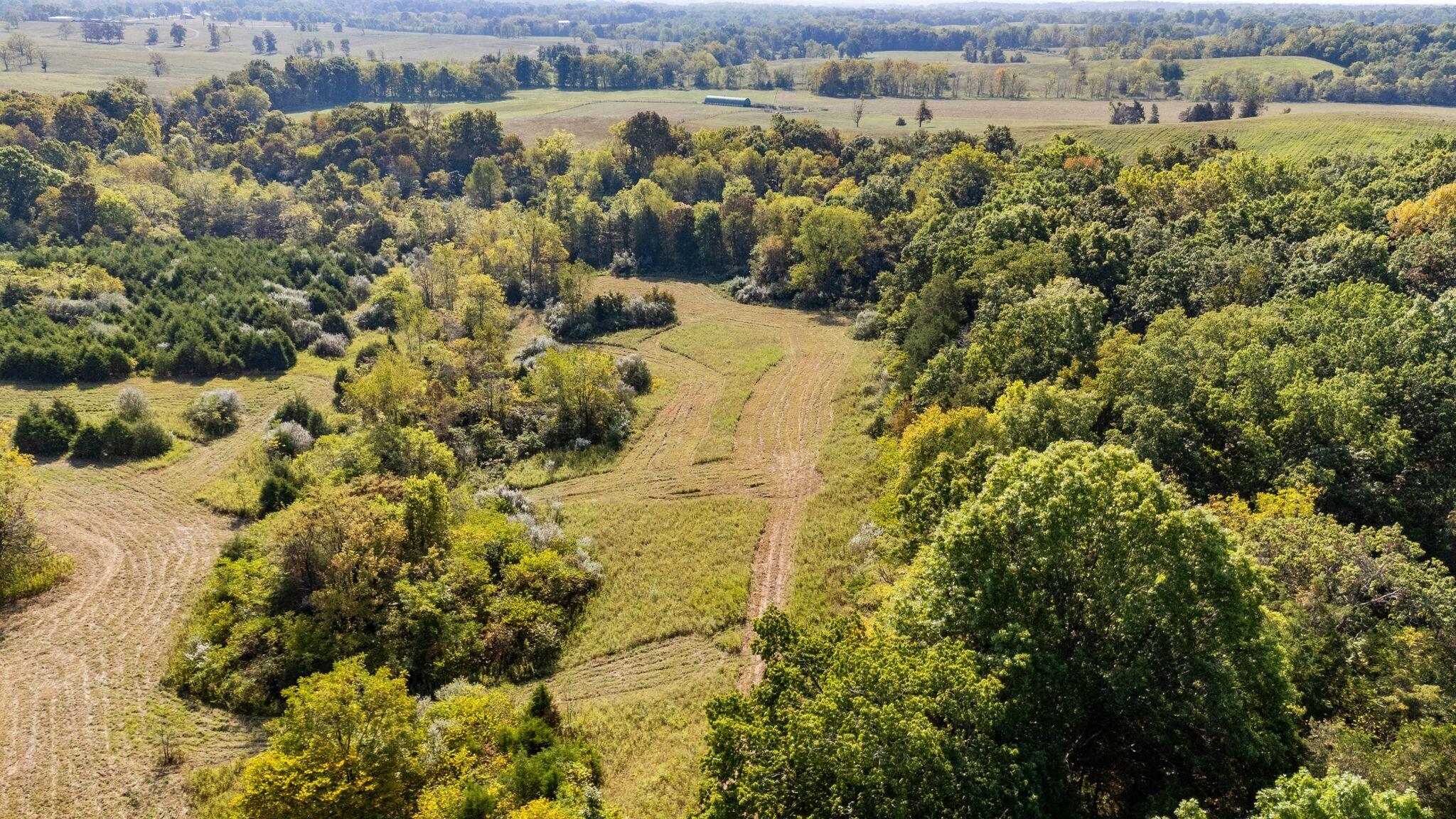 Phase 3 Fox Hollow Graefenburg Road Property Photo 29