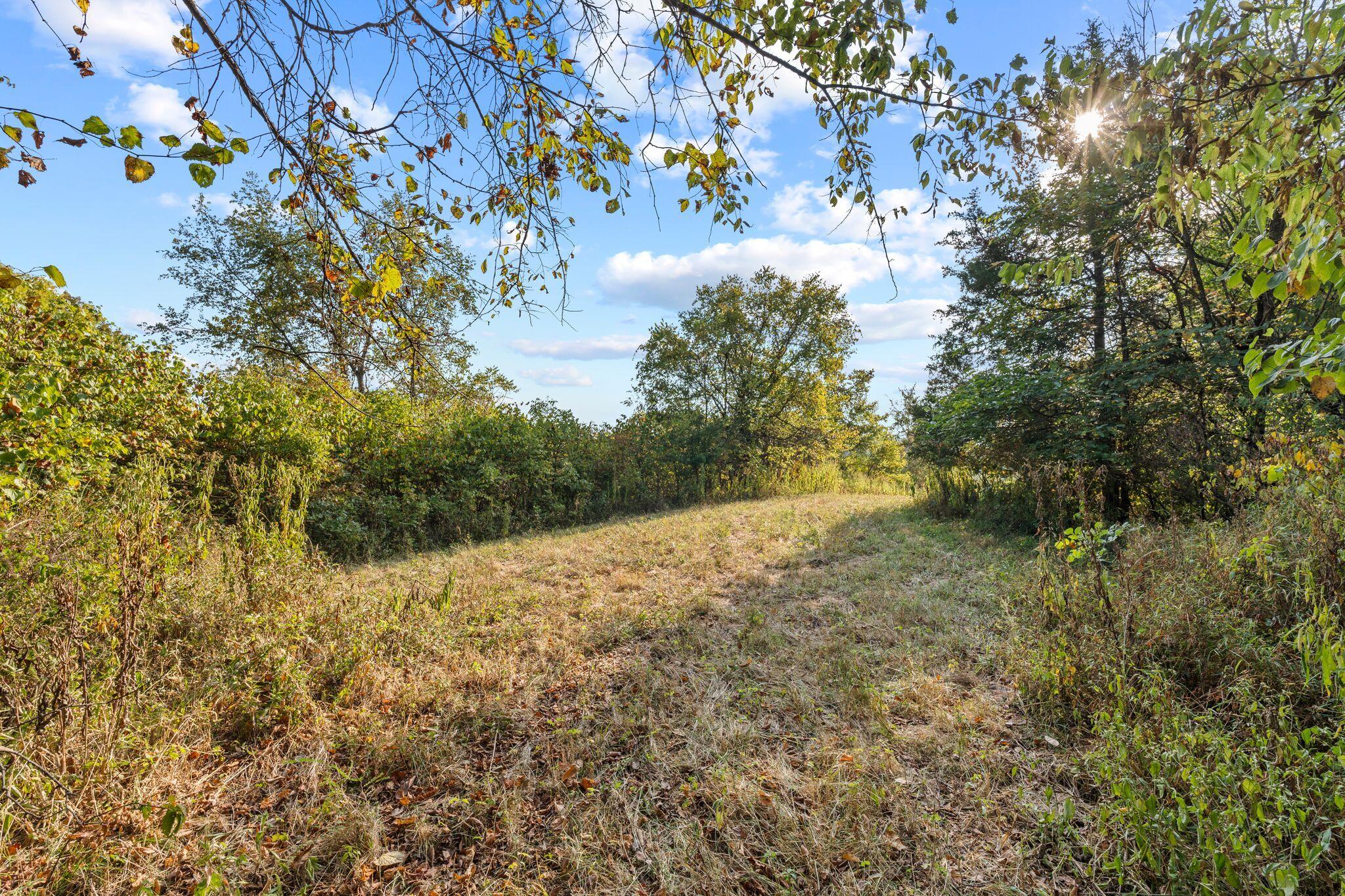 Phase 3 Fox Hollow Graefenburg Road Property Photo 33