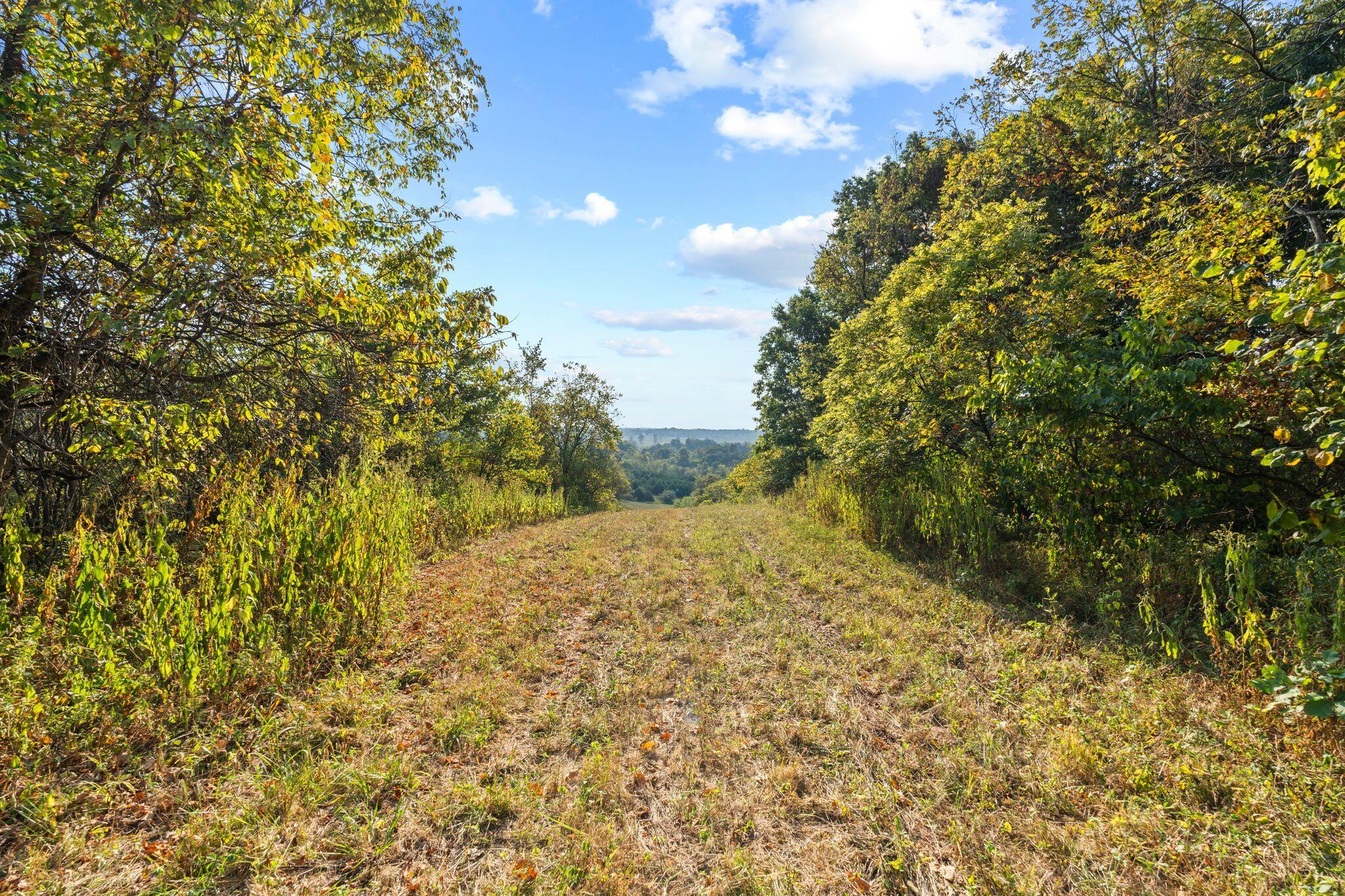Phase 3 Fox Hollow Graefenburg Road Property Photo 34
