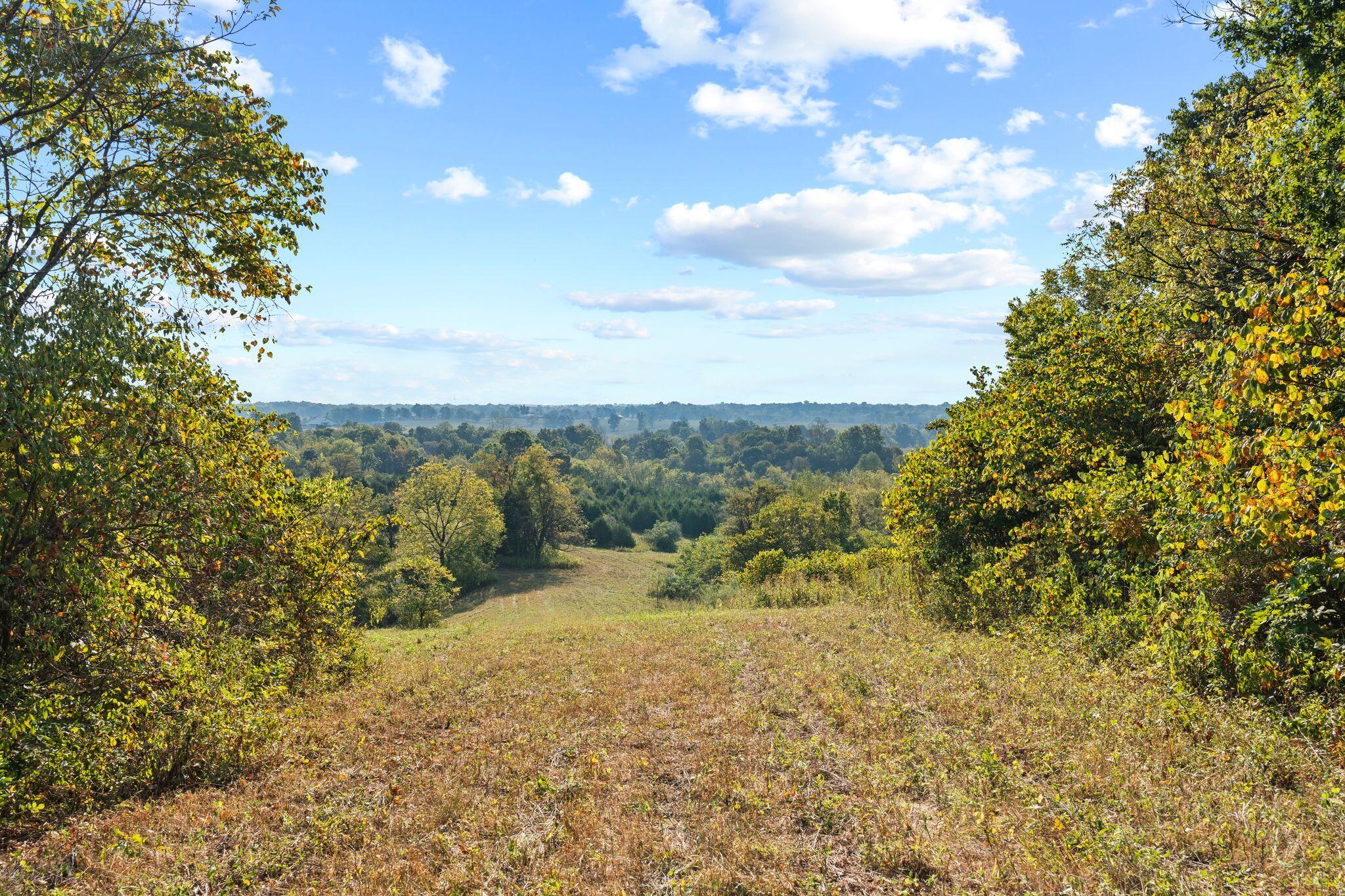 Phase 3 Fox Hollow Graefenburg Road Property Photo 35