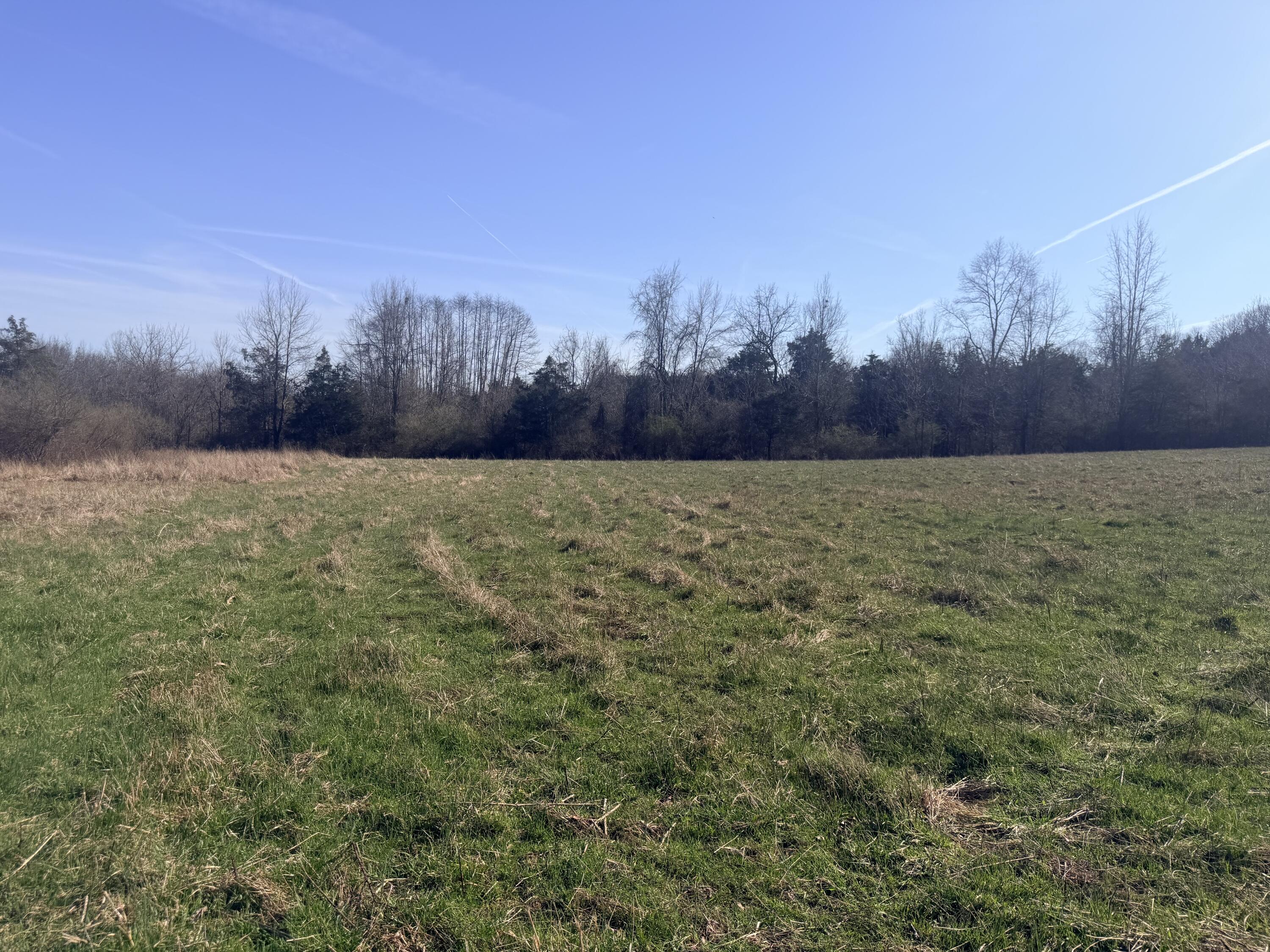 Phase 3 Fox Hollow Graefenburg Road Property Photo 39