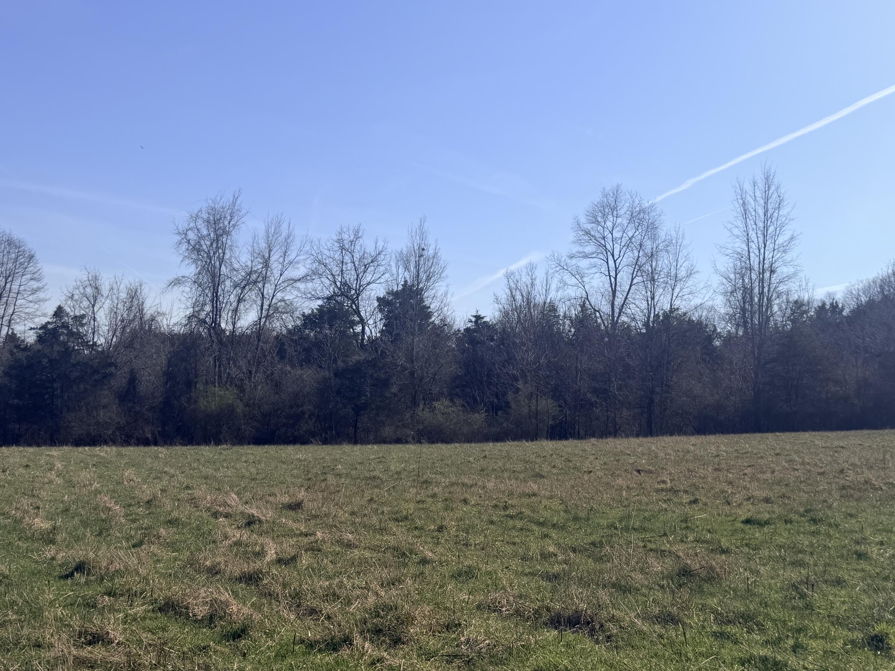 Phase 3 Fox Hollow Graefenburg Road Property Photo 41