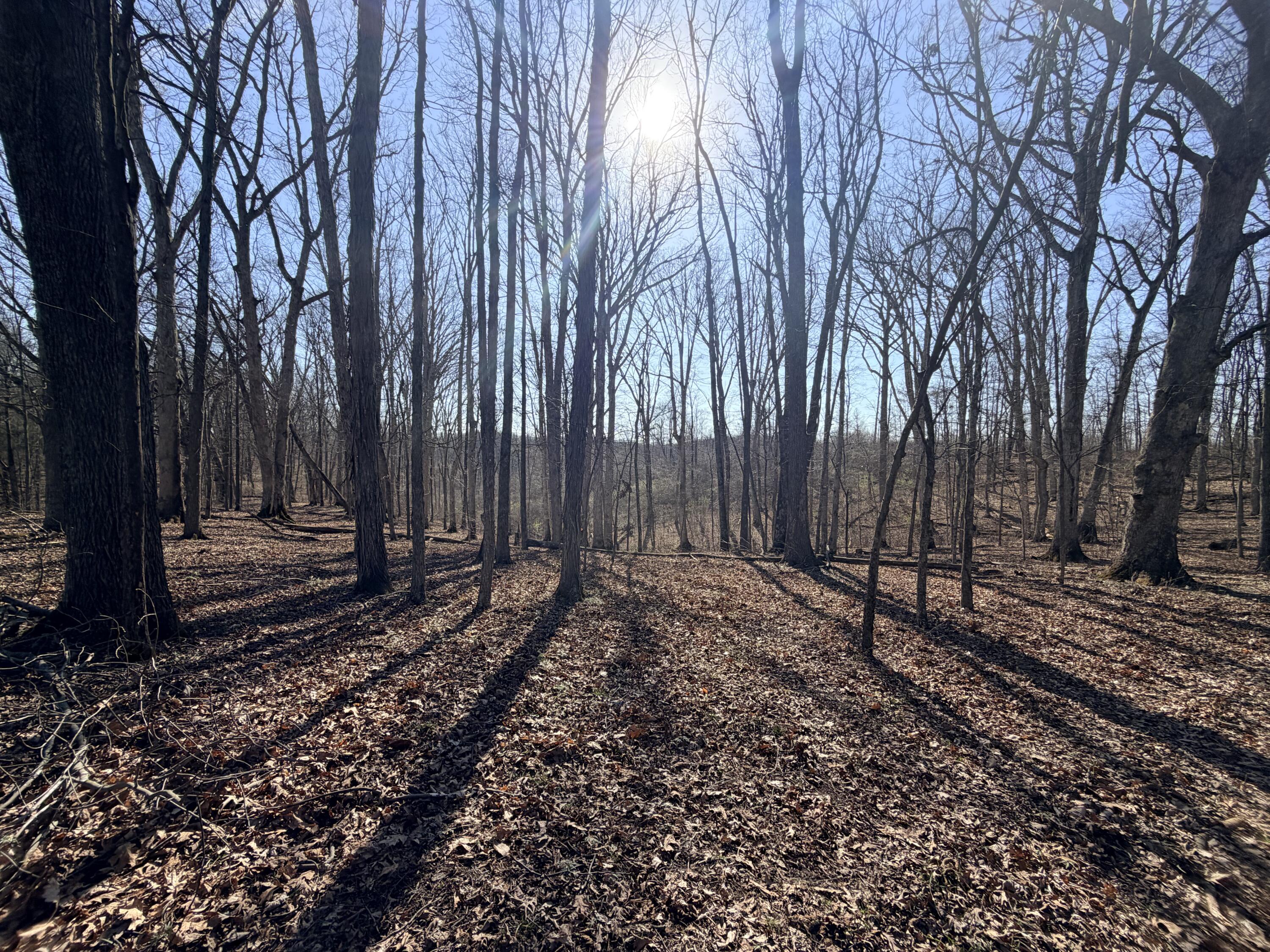 Phase 3 Fox Hollow Graefenburg Road Property Photo 45