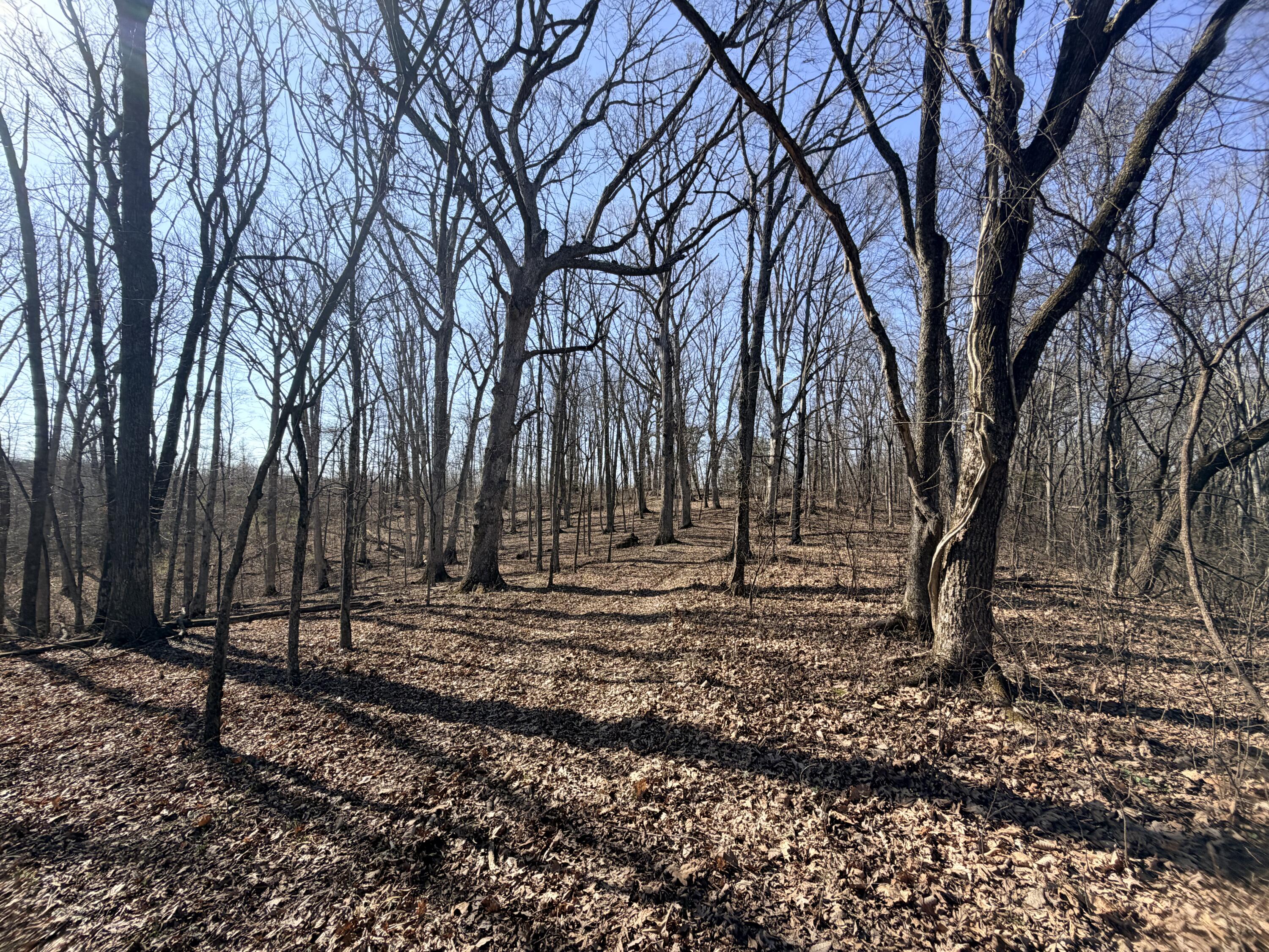 Phase 3 Fox Hollow Graefenburg Road Property Photo 46
