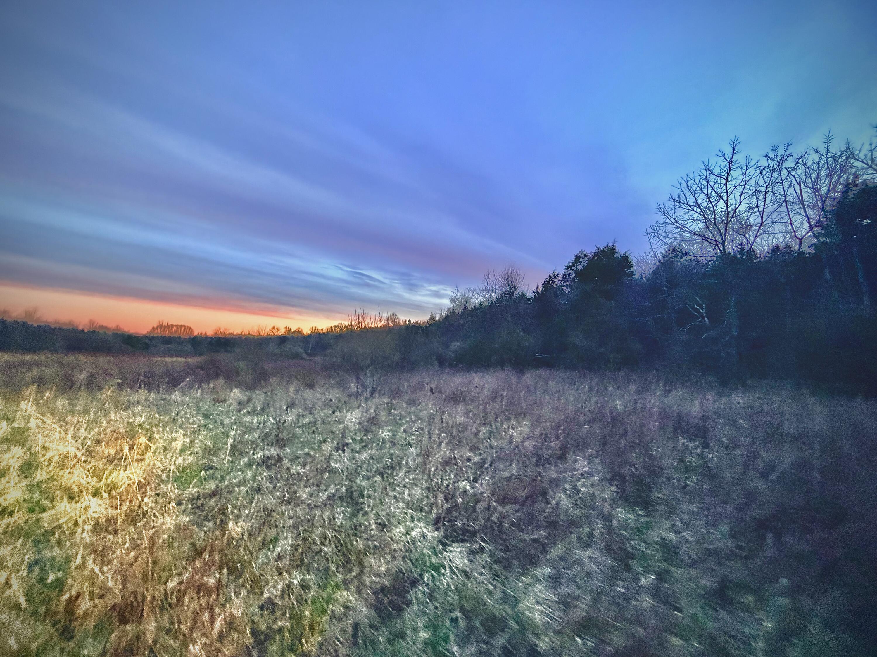 Phase 3 Fox Hollow Graefenburg Road Property Photo 52