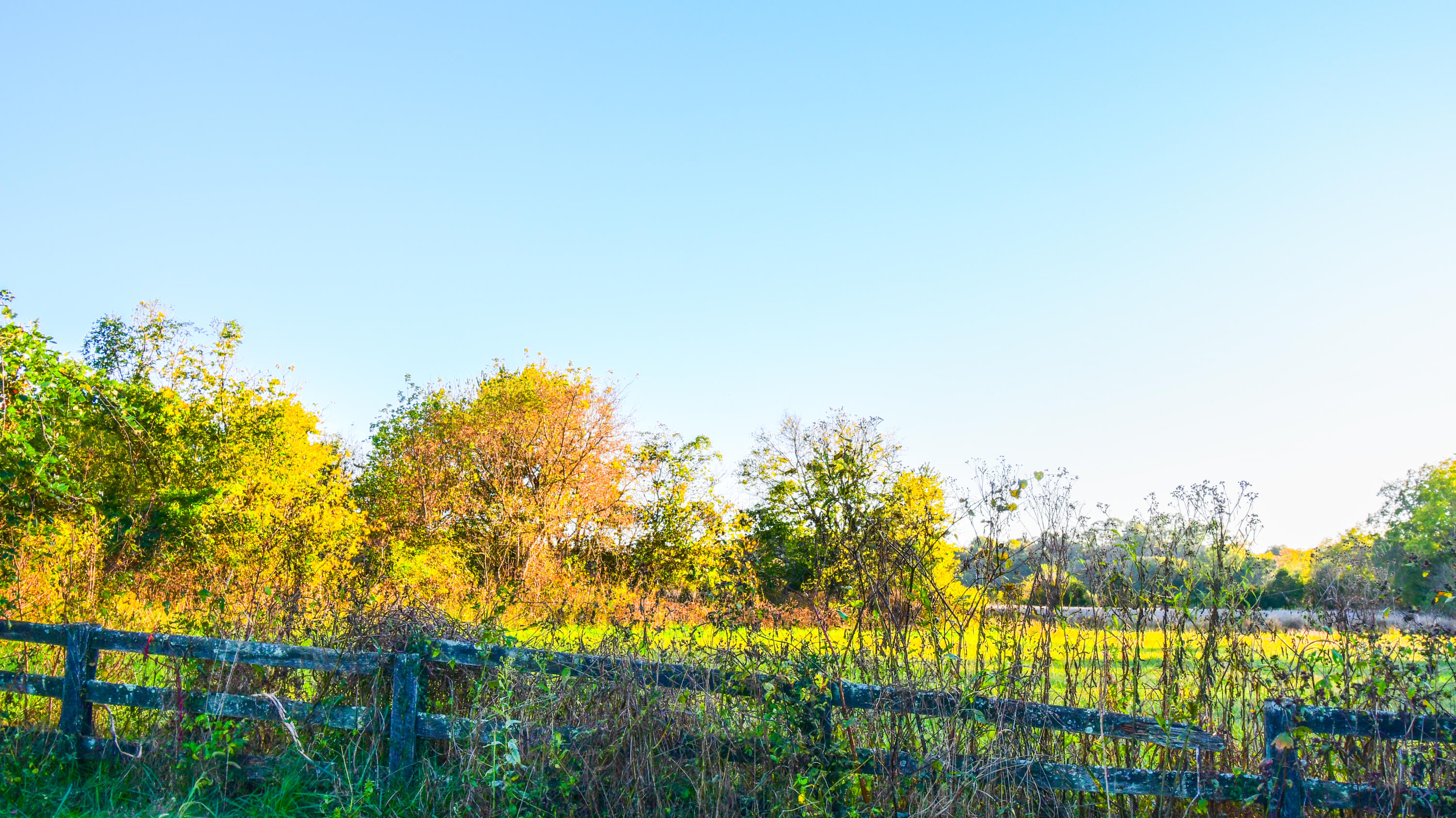 1051 Drydock Road Property Photo 6