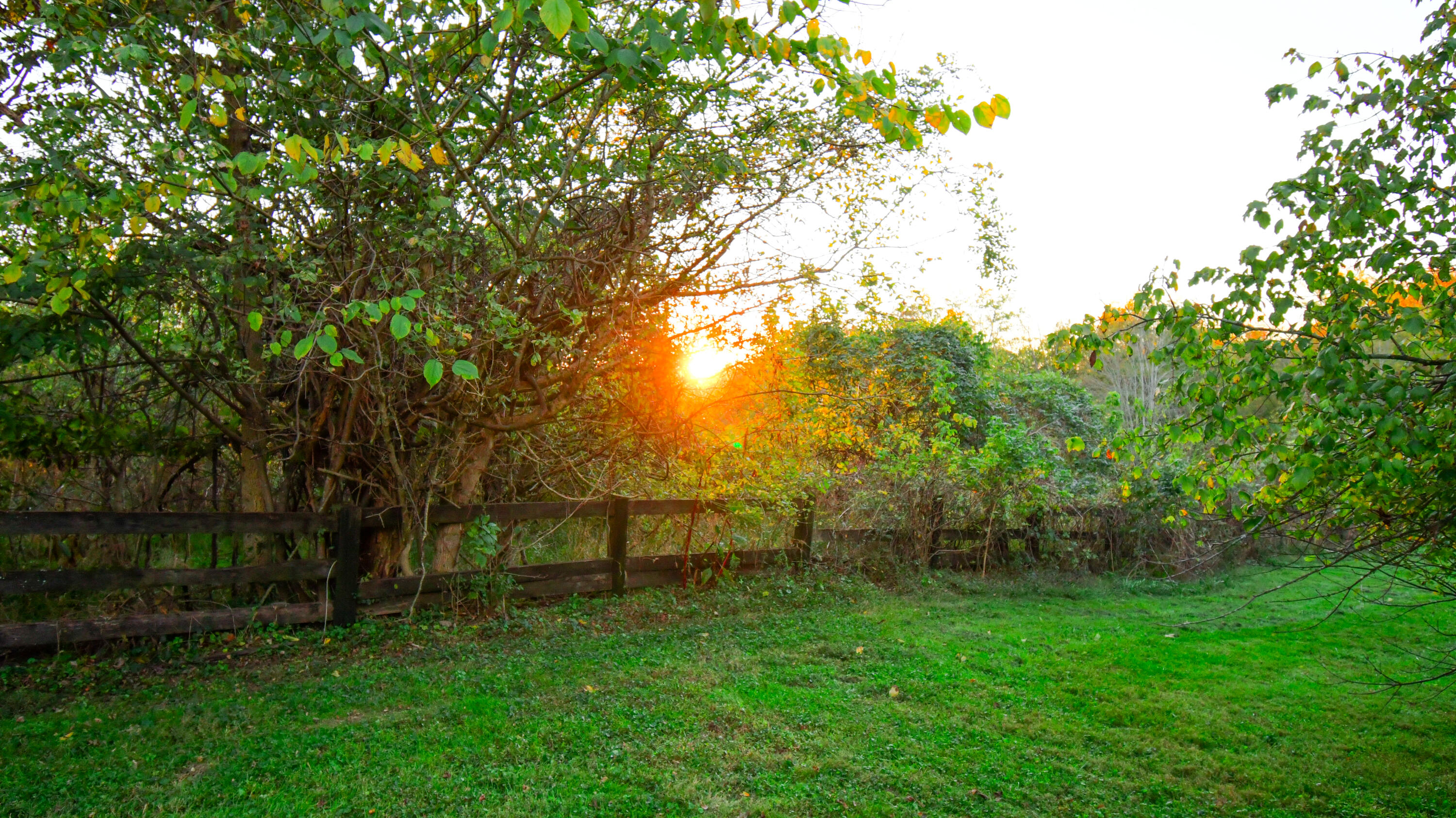 1051 Drydock Road Property Photo 7