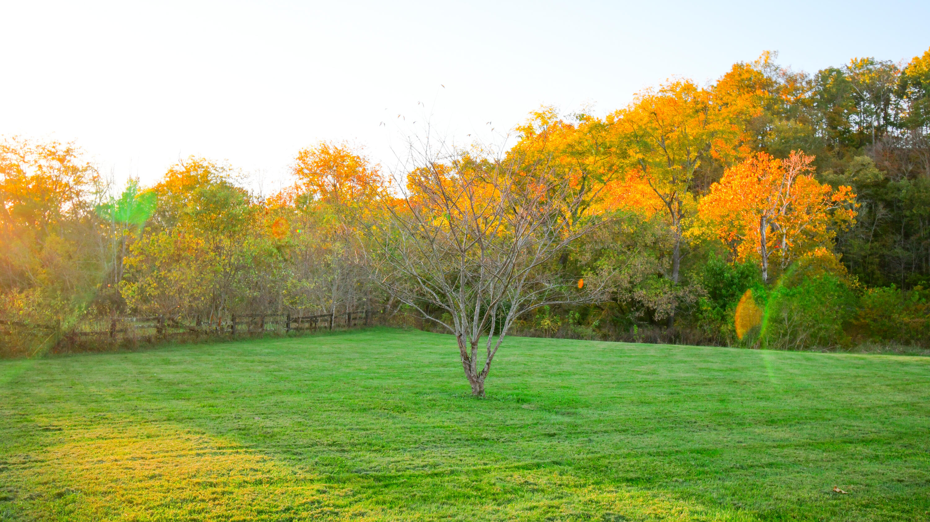 1051 Drydock Road Property Photo 8