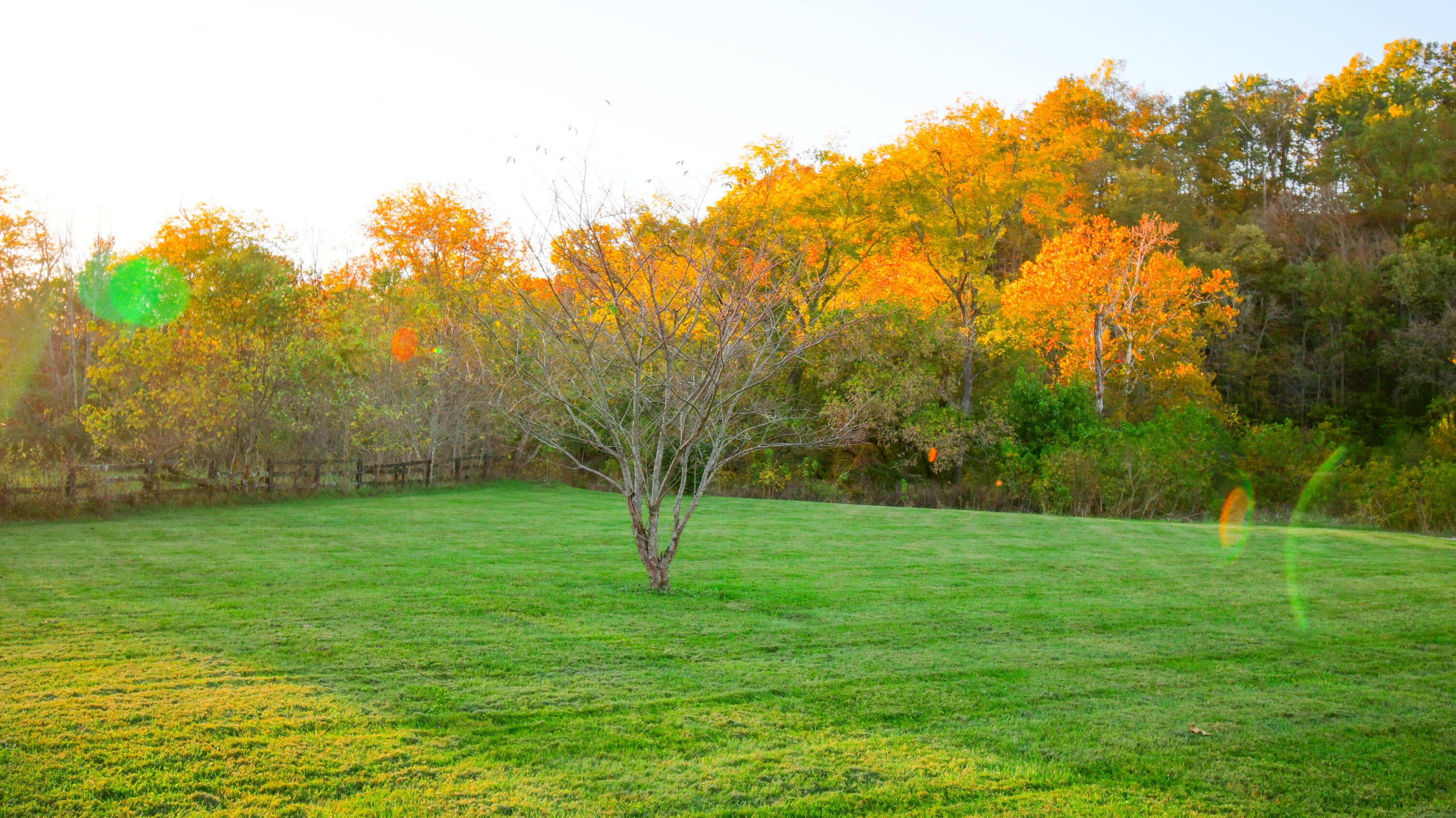 1051 Drydock Road Property Photo 9
