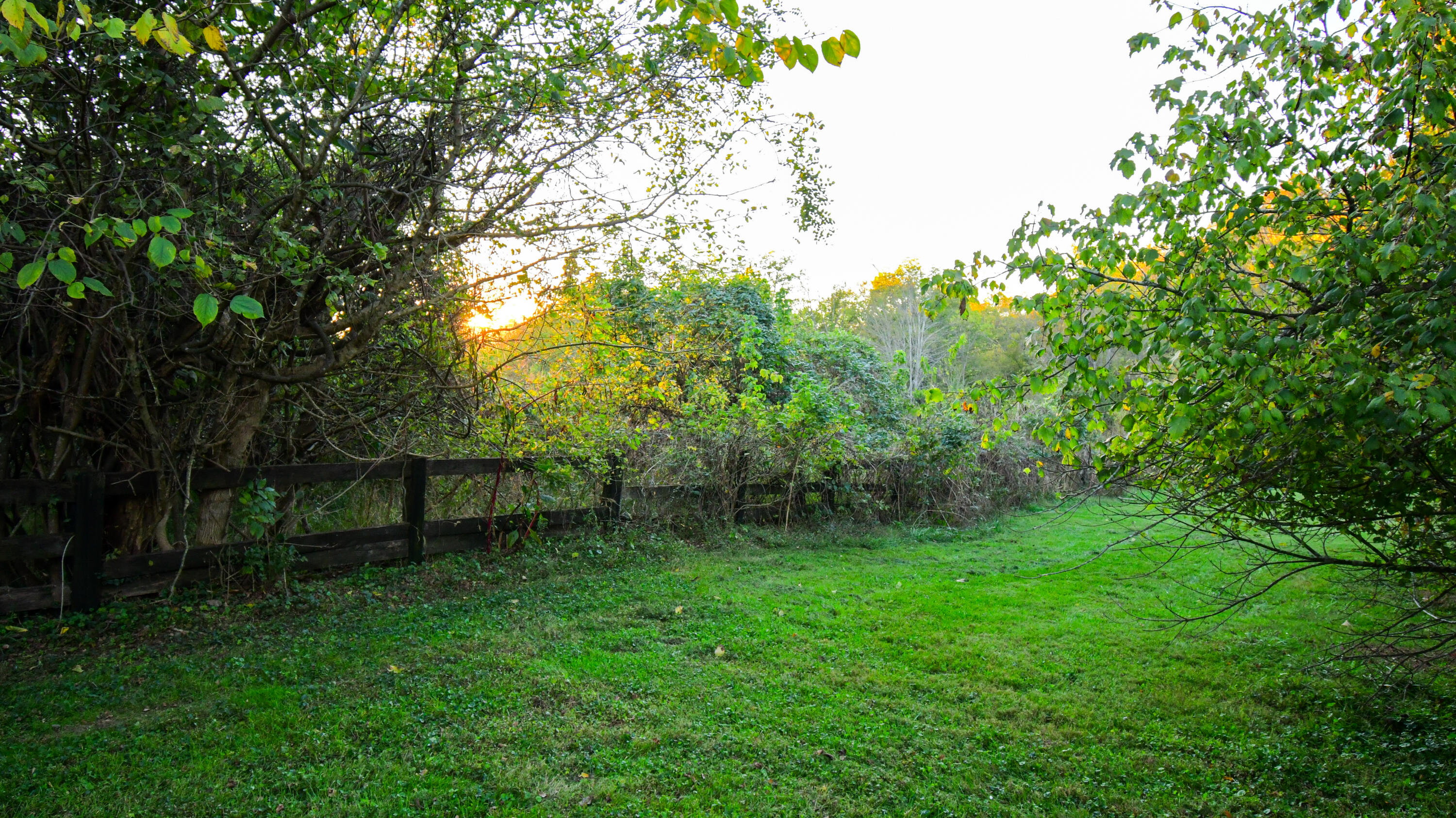 1051 Drydock Road Property Photo 15
