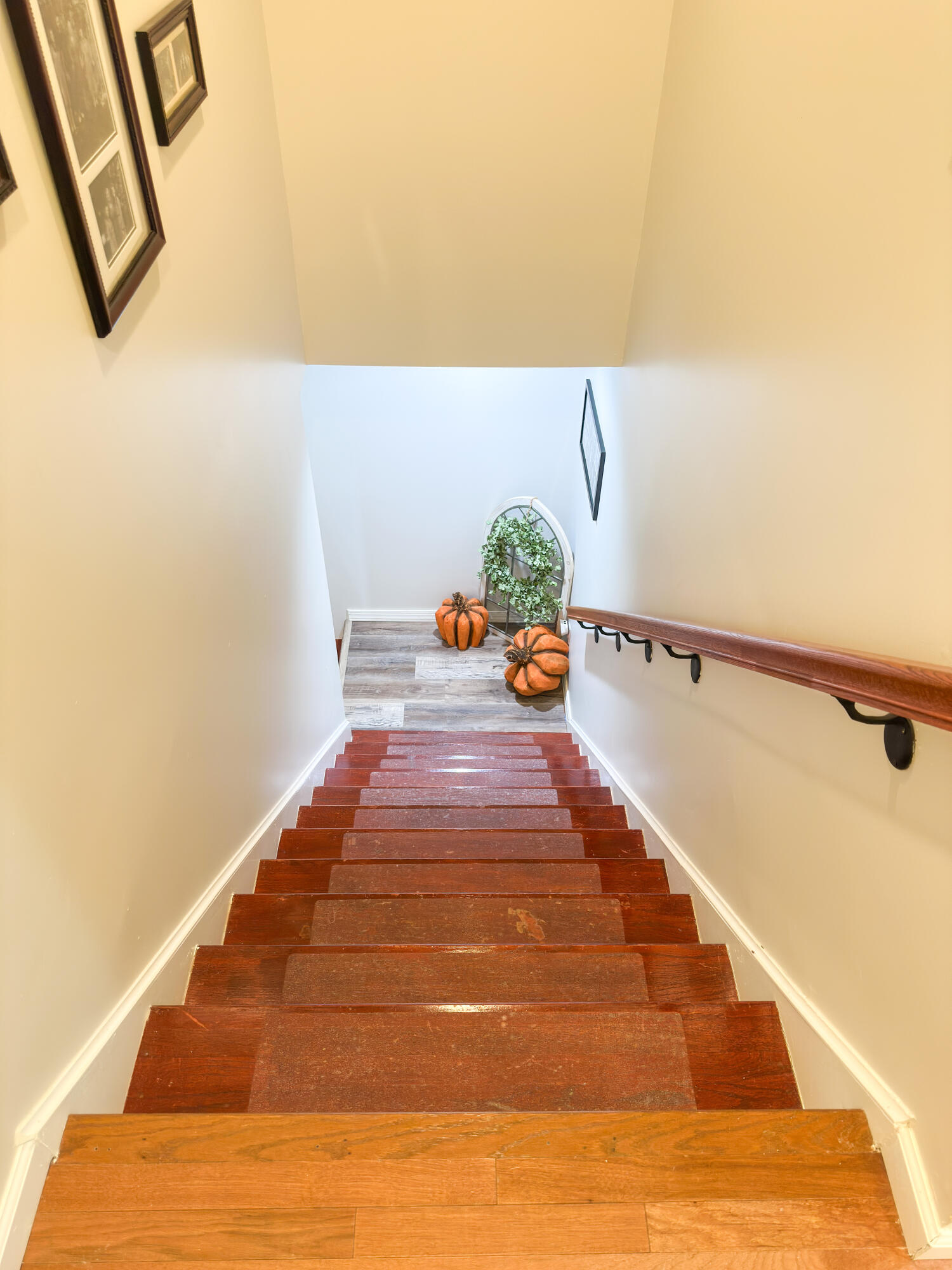 557 Cold Hill Road Property Photo 29