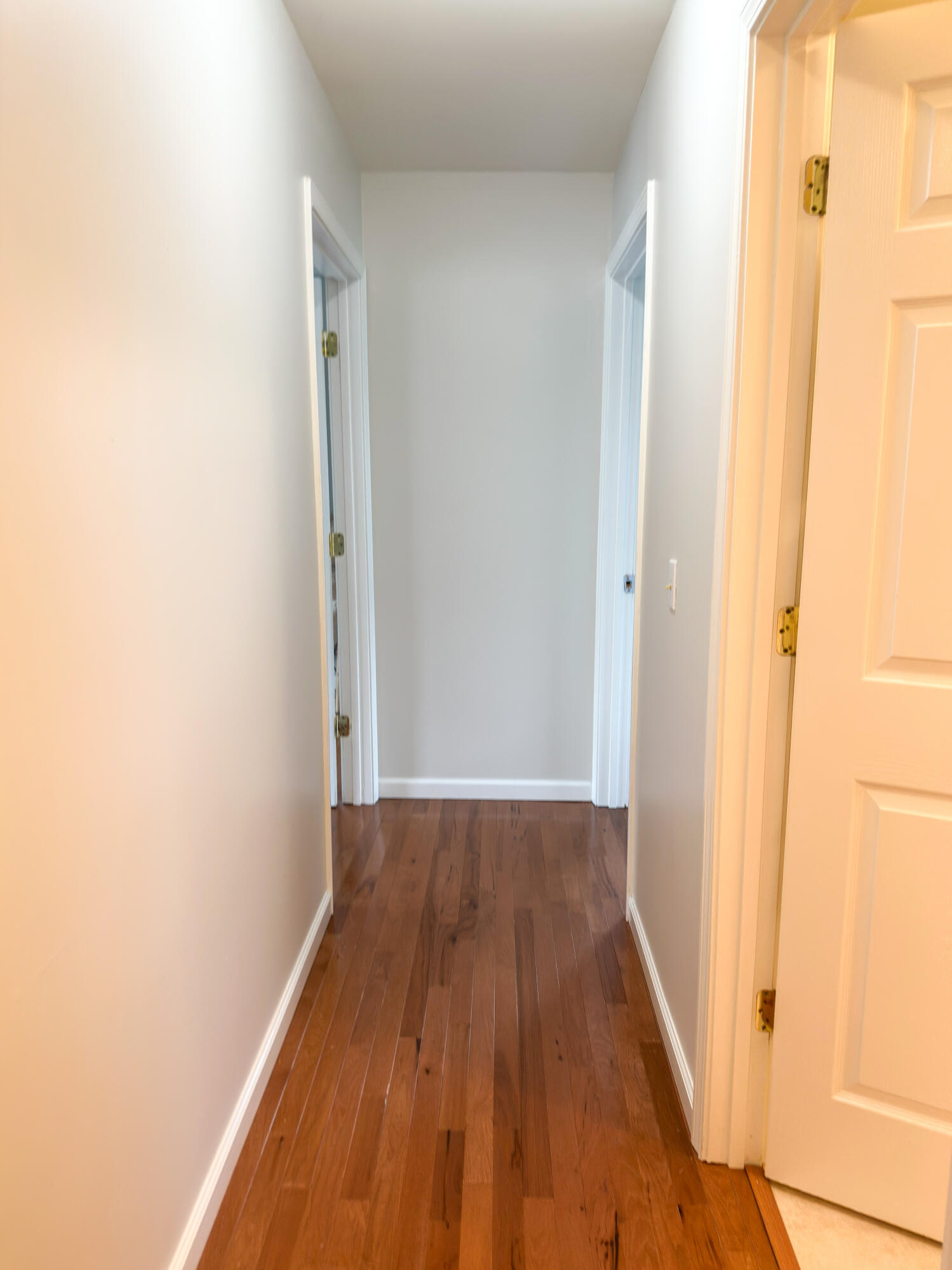 557 Cold Hill Road Property Photo 32