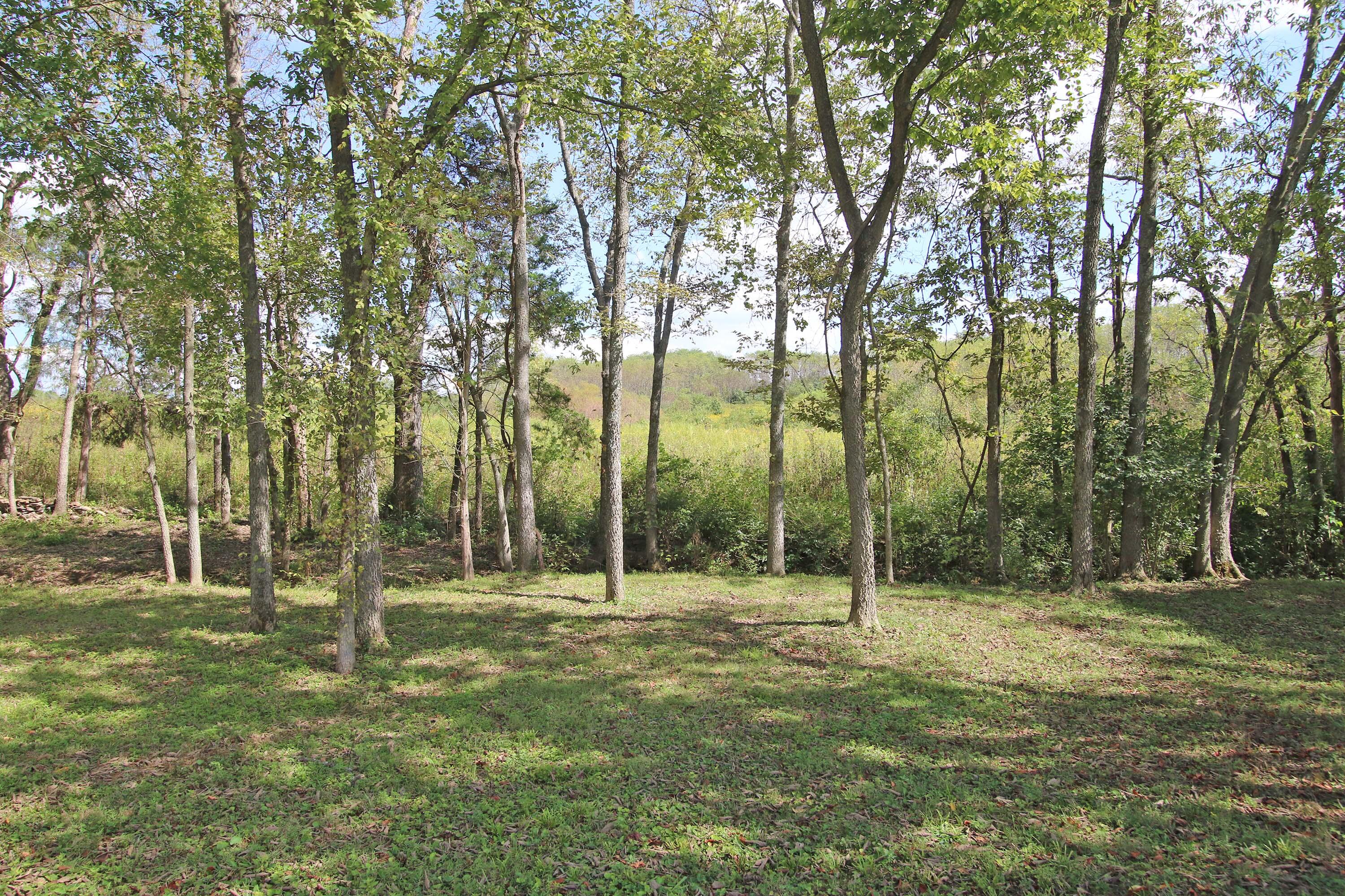 1010 Steele Road Property Photo 54