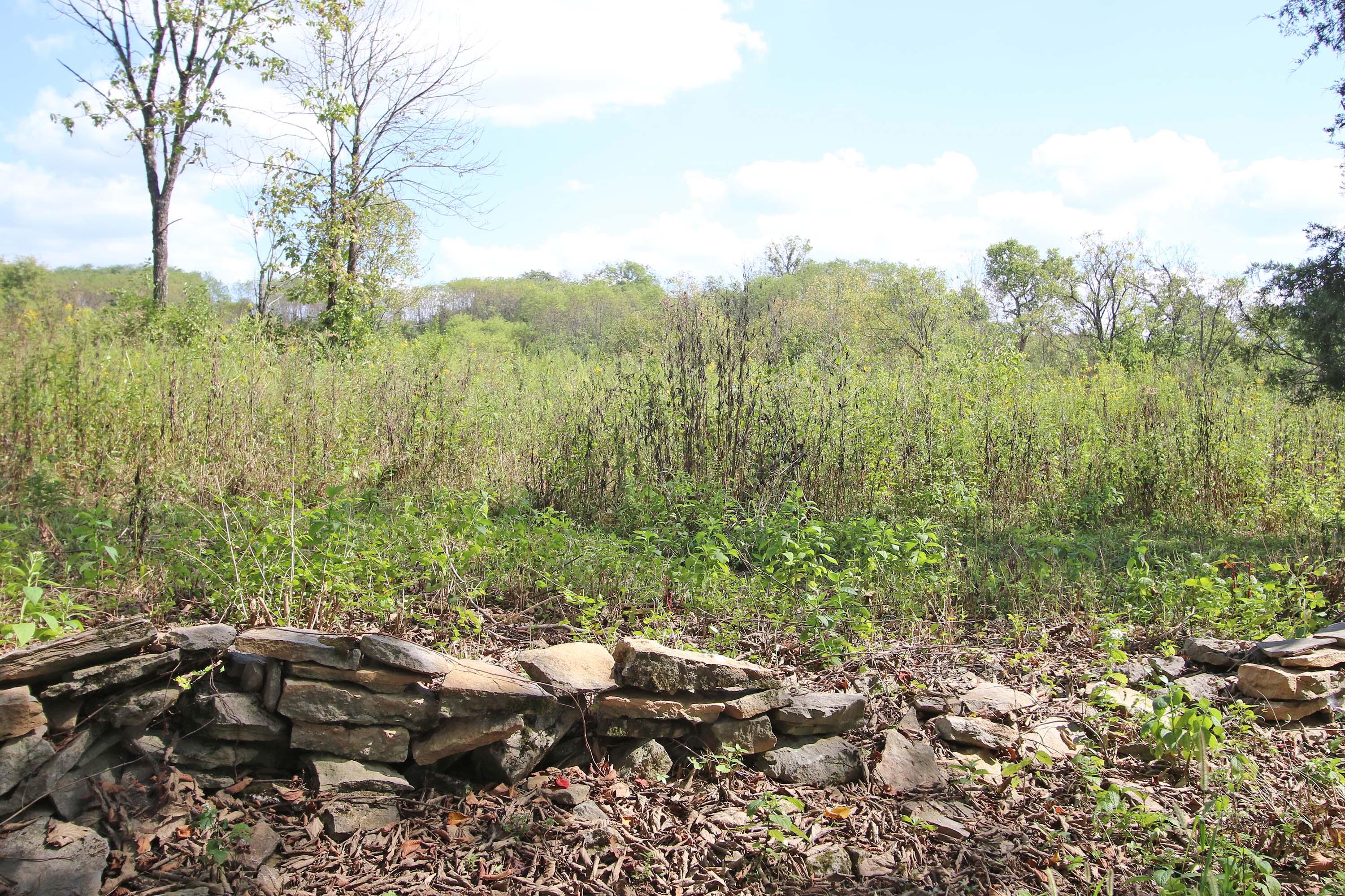 1010 Steele Road Property Photo 55