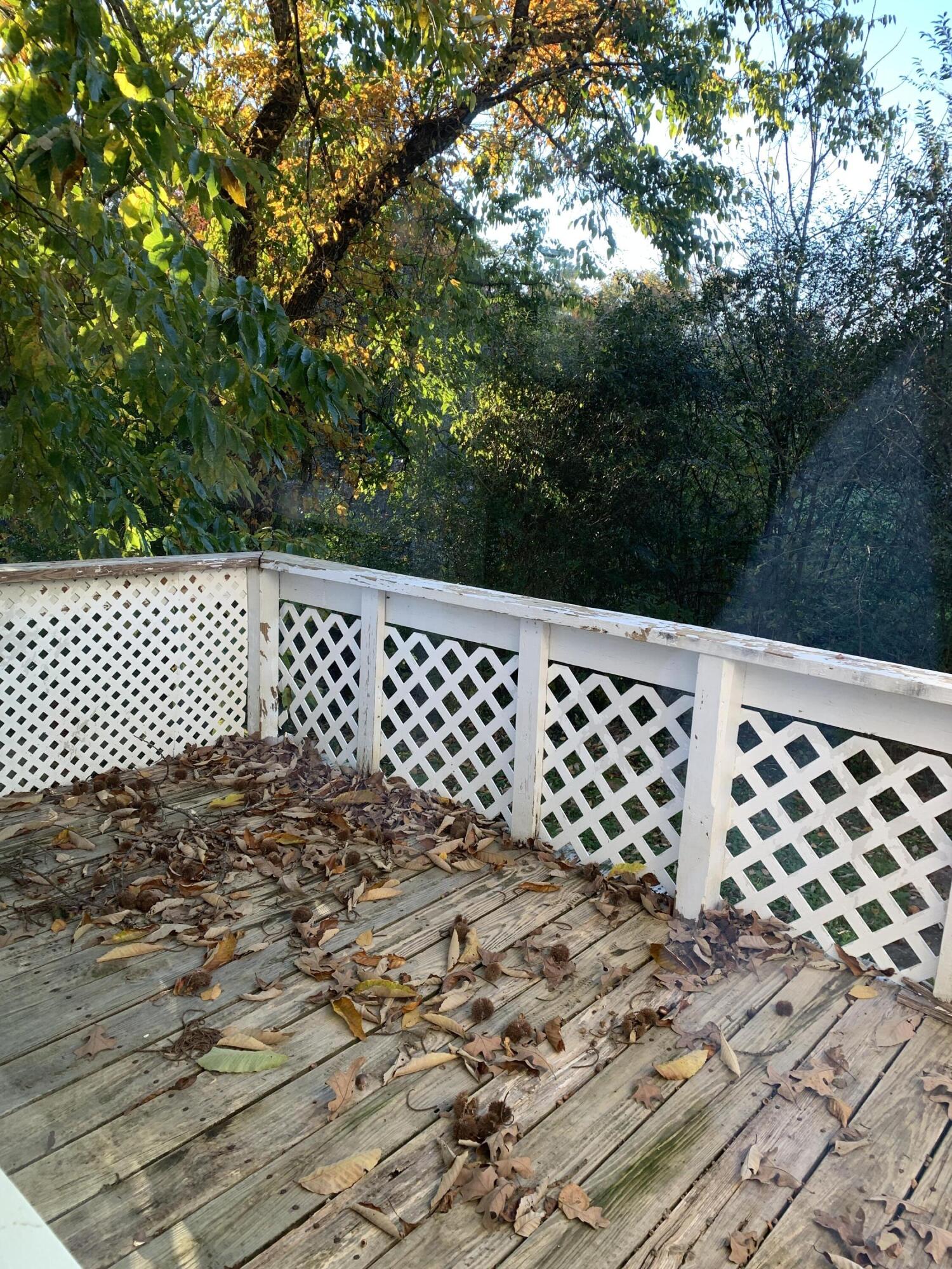 138 Tim Stephens Road Property Photo 11