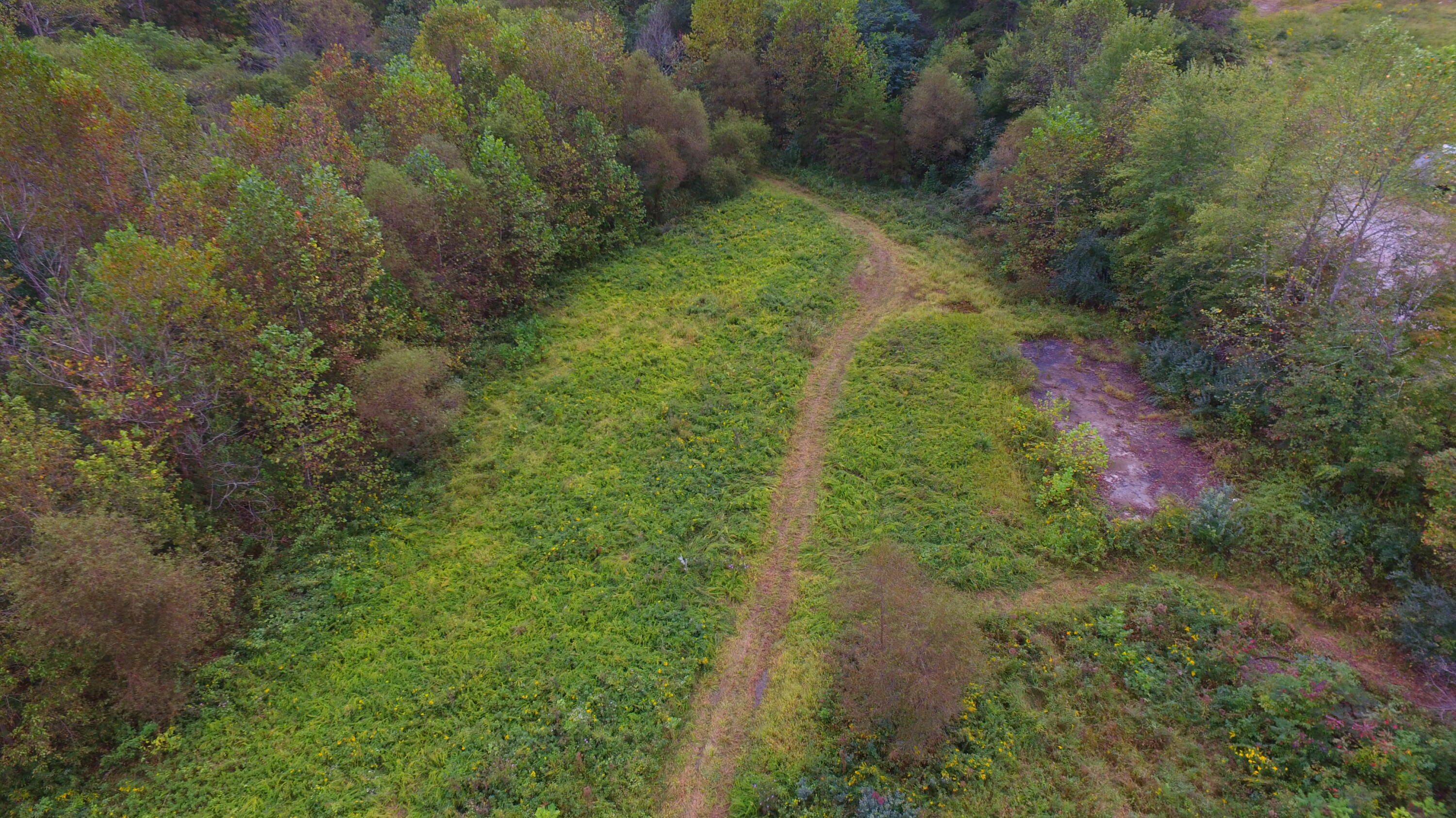 7566 Highway 26 Property Photo 26