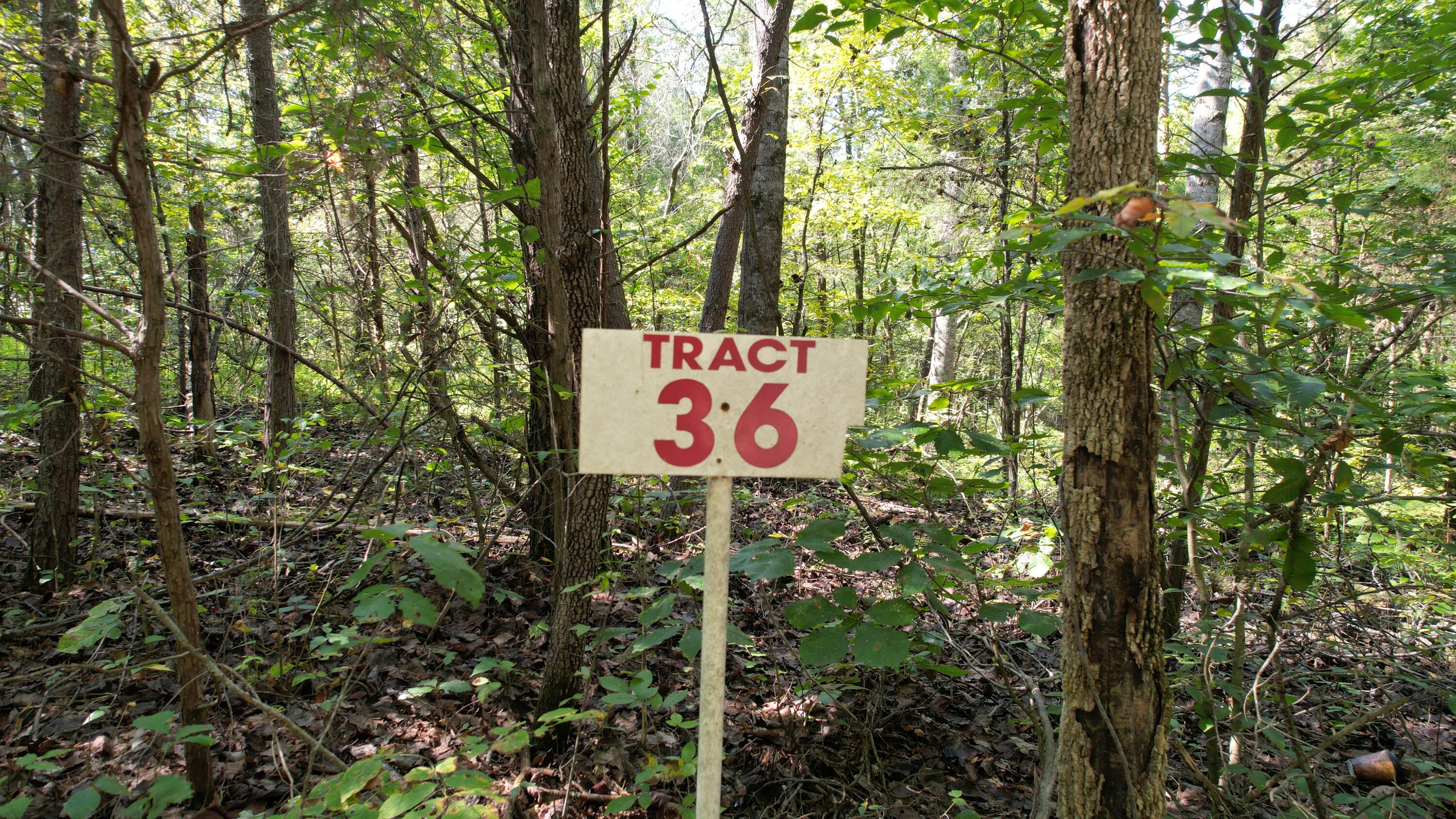 Lot 36 Poplar Ridge Rd Property Photo 5