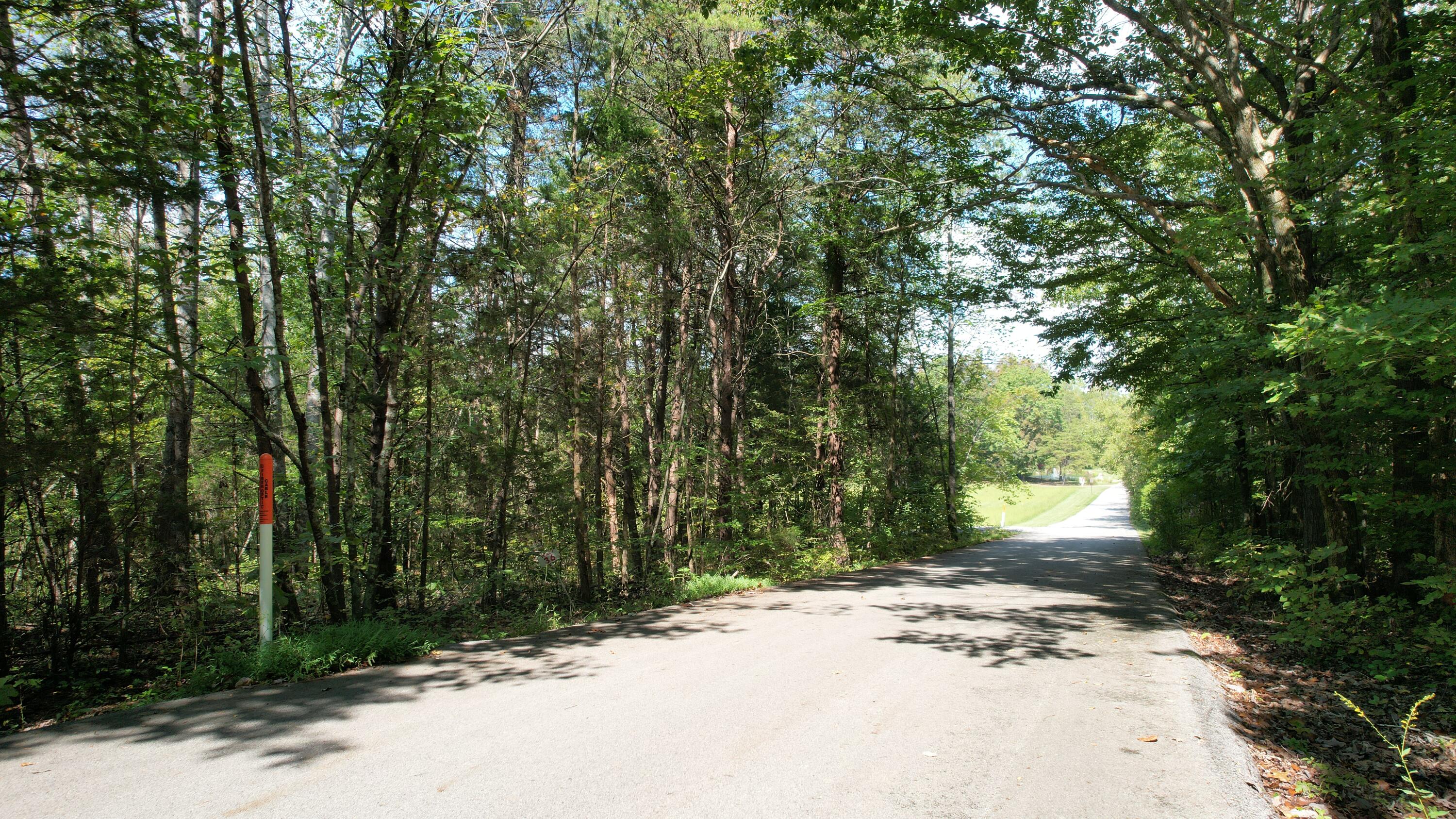 Lot 36 Poplar Ridge Rd Property Photo 6