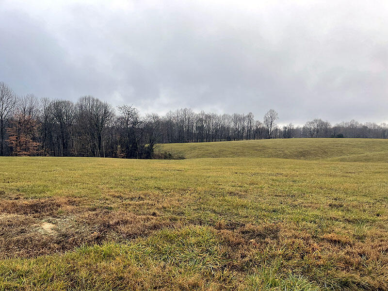 Lot 41 Stillwater Property Photo 3