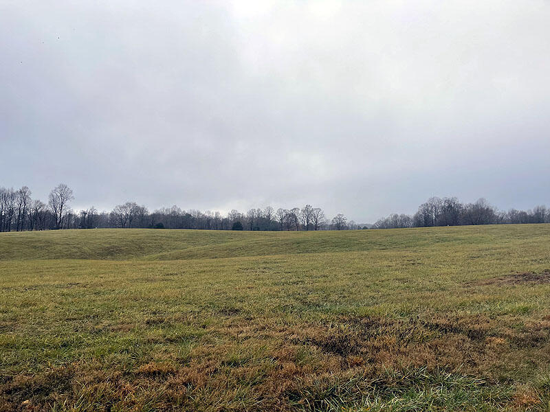 Lot 41 Stillwater Property Photo 4