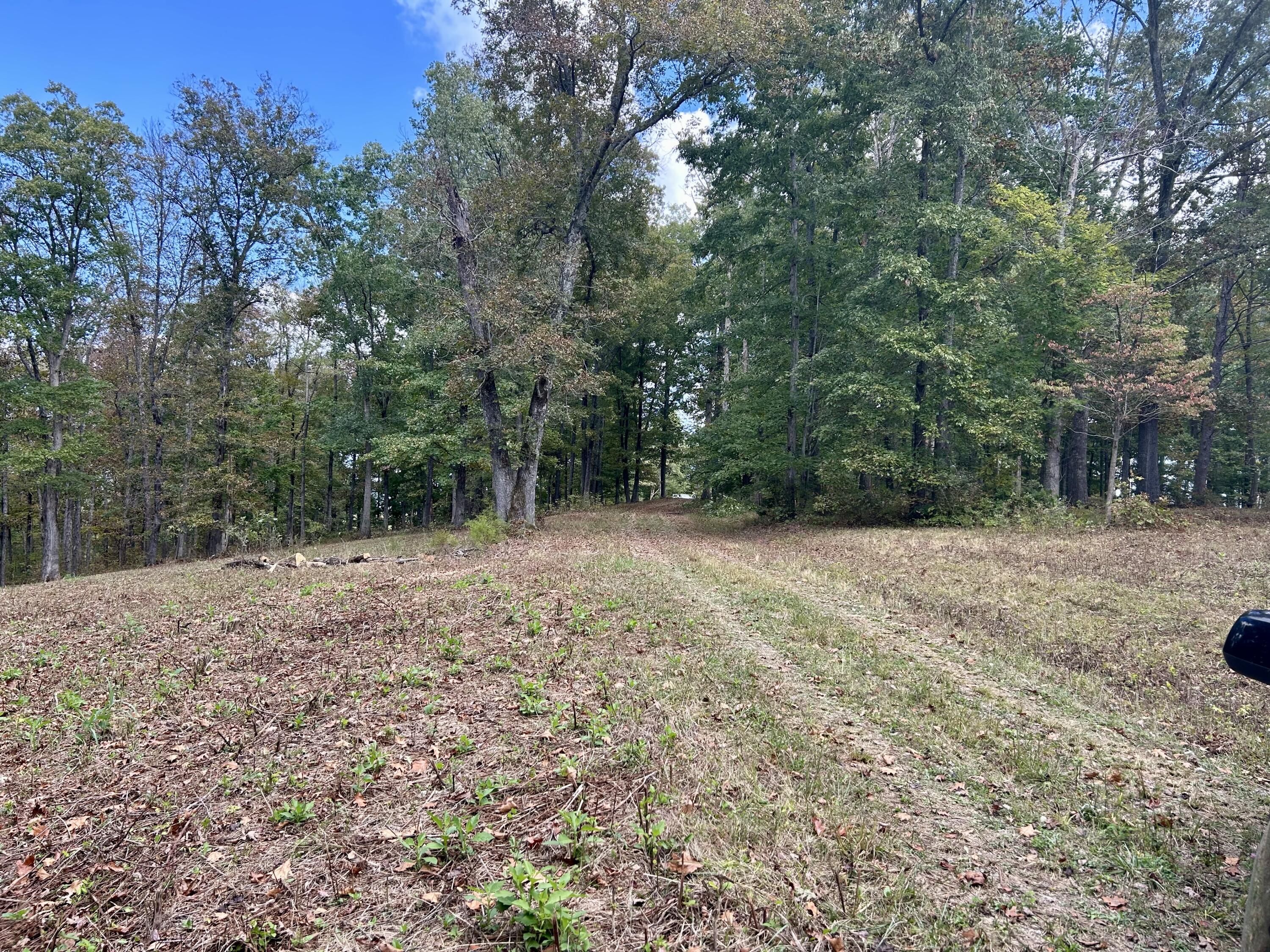 23 Acres Davis Lane Property Photo 3