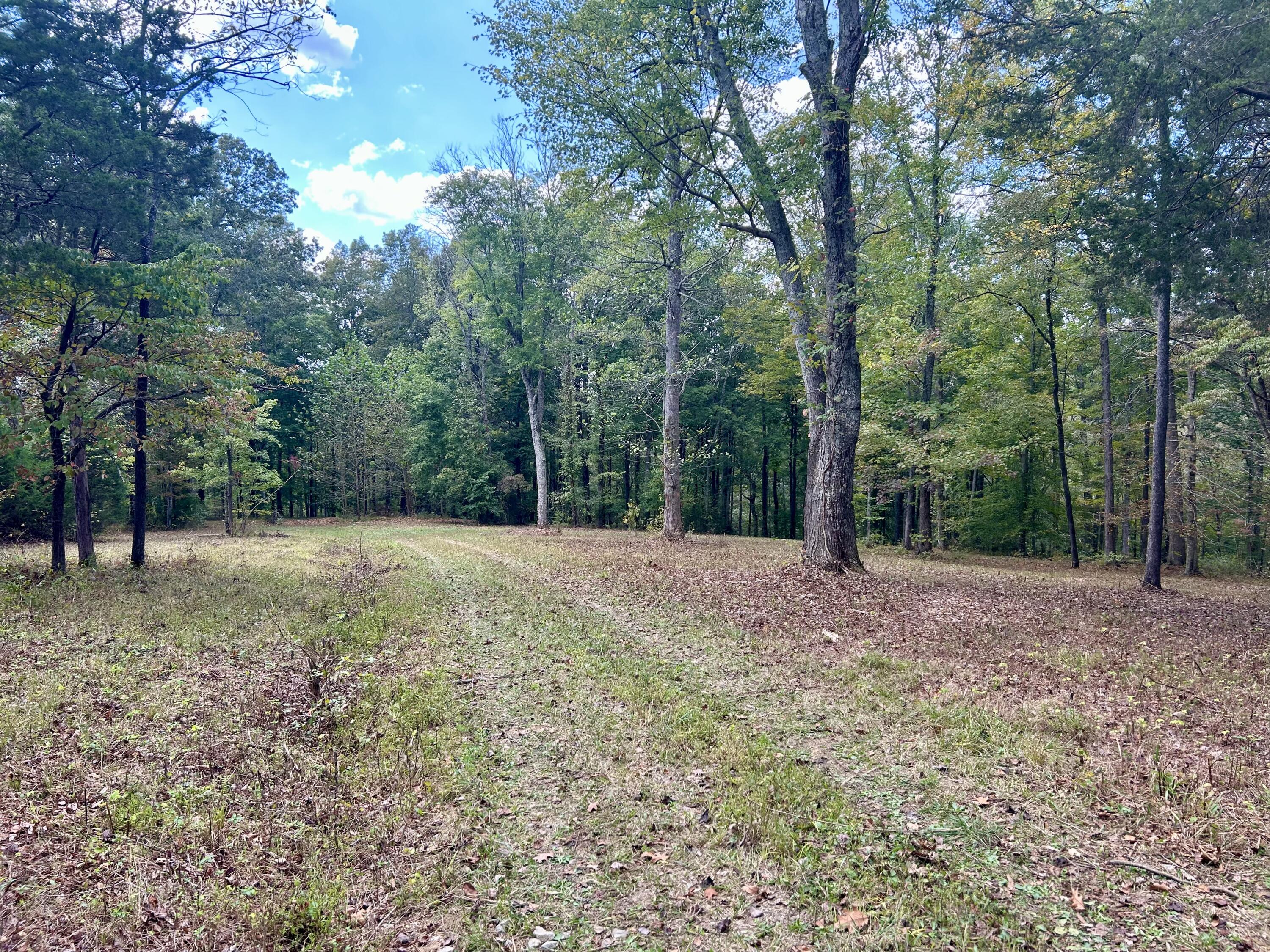 23 Acres Davis Lane Property Photo 6