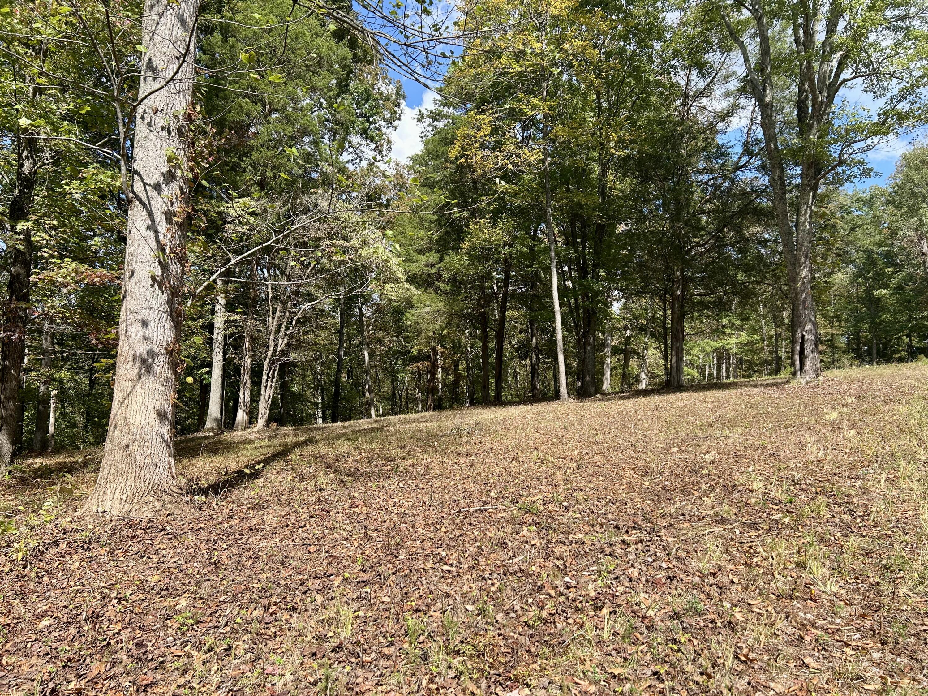 23 Acres Davis Lane Property Photo 7