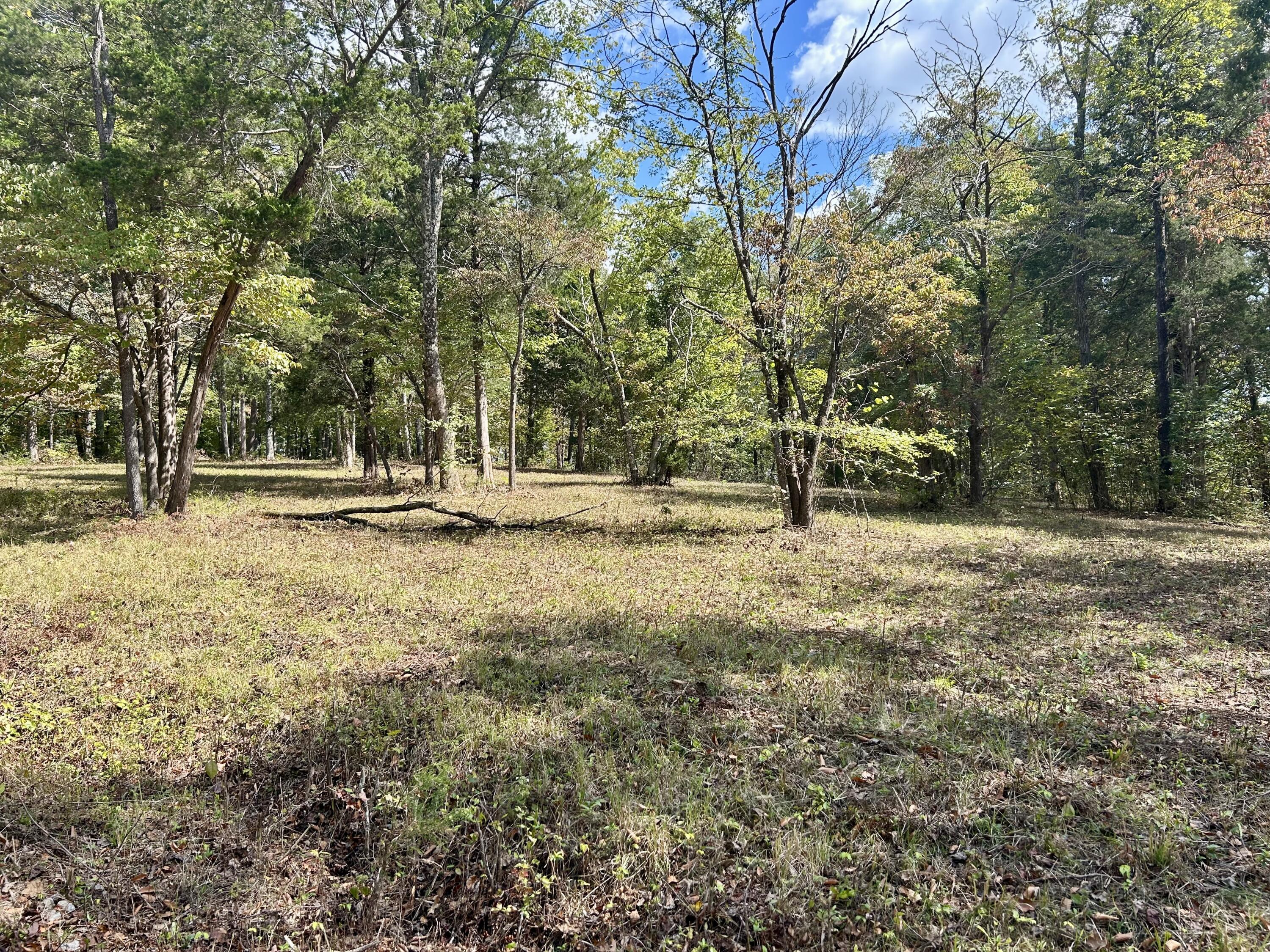 23 Acres Davis Lane Property Photo 8