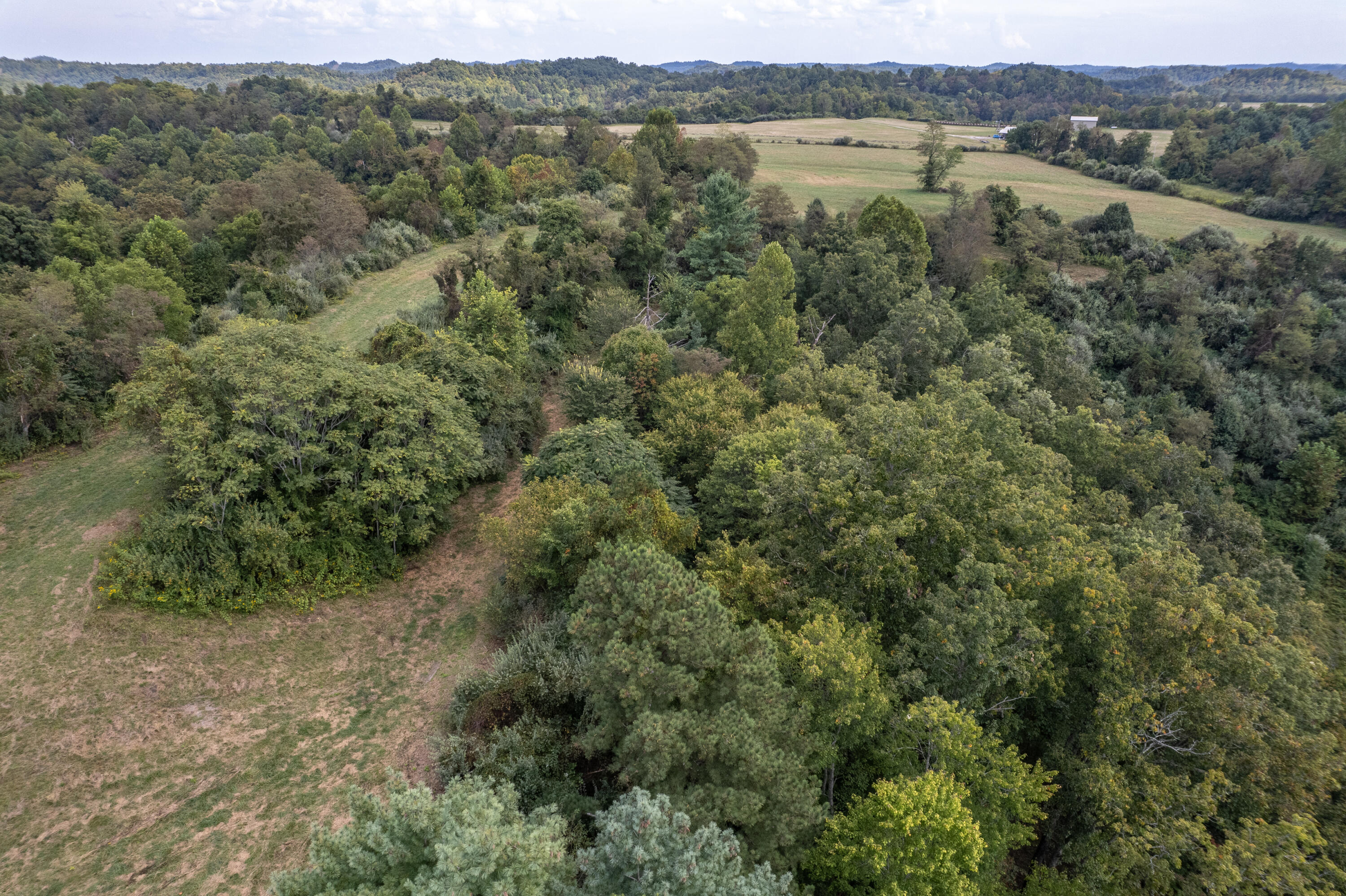 363 Higgins Branch Road Property Photo 45