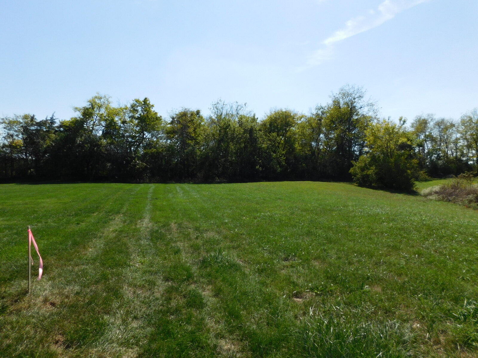 330 Chrisman Oaks Trail Property Photo 6