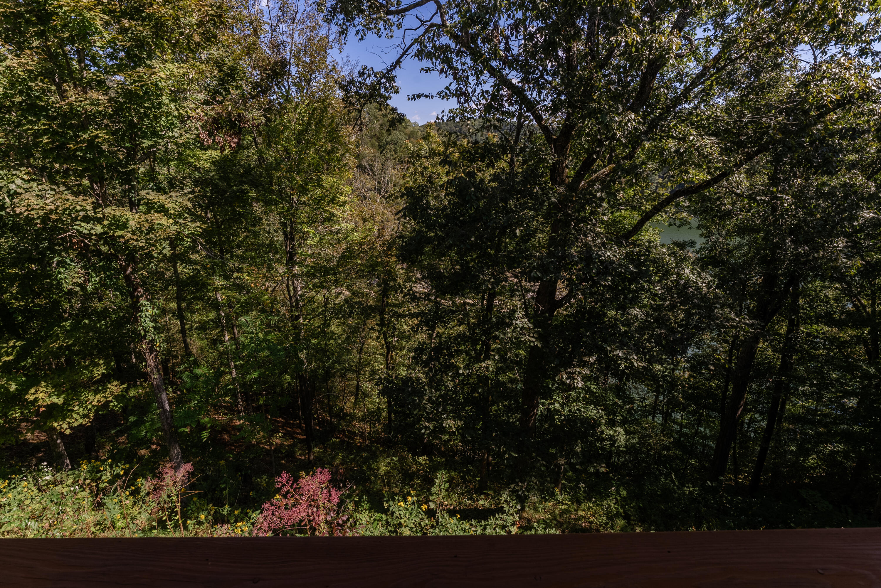 135 Laurel Road Property Photo 85