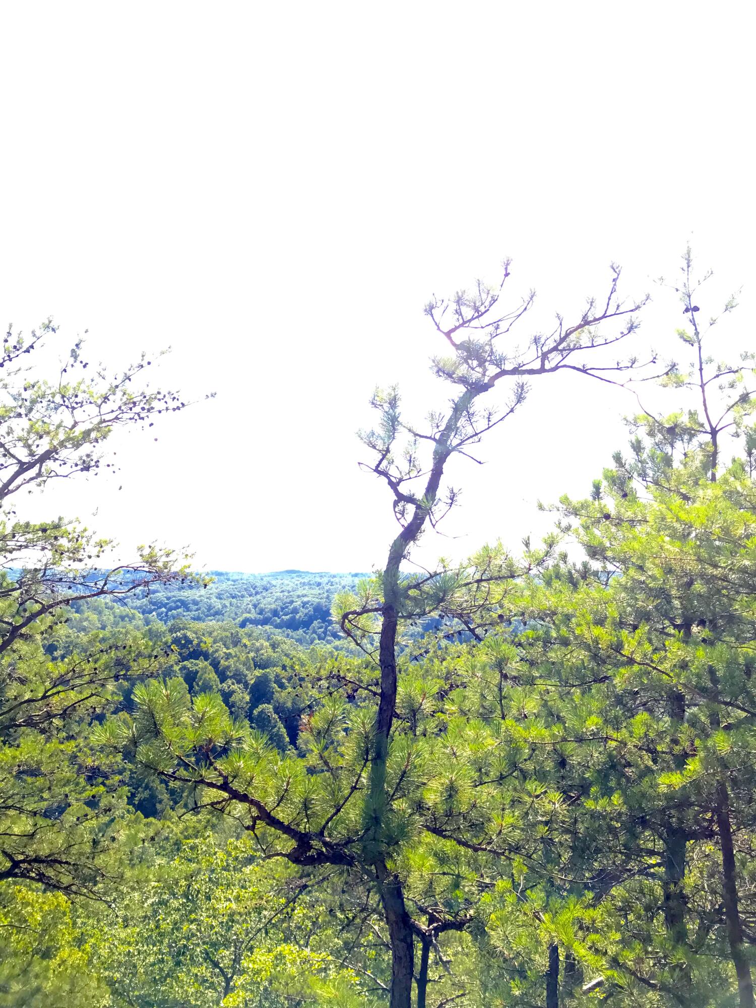 0 South Fork Property Photo 2