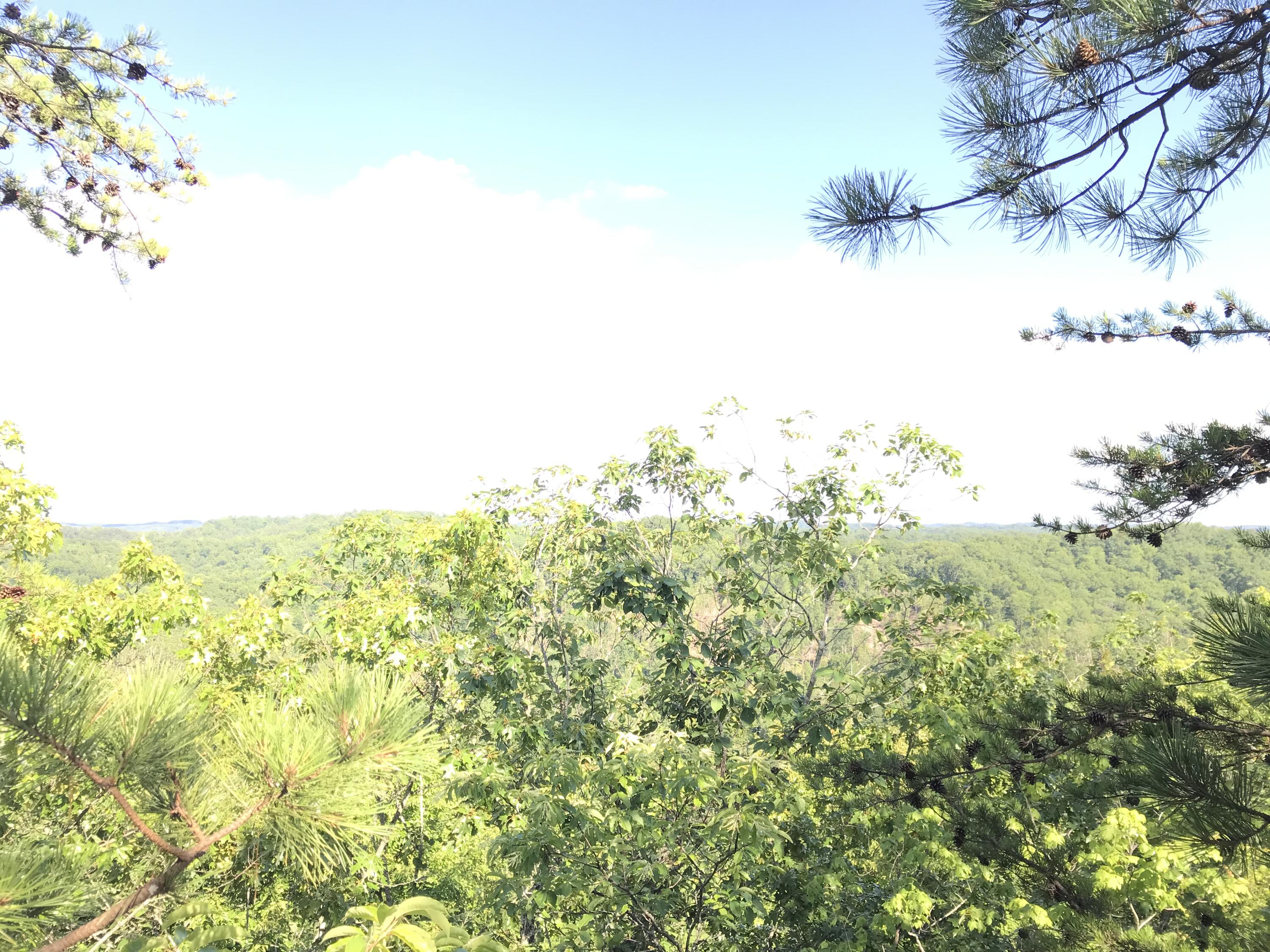 0 South Fork Property Photo 3