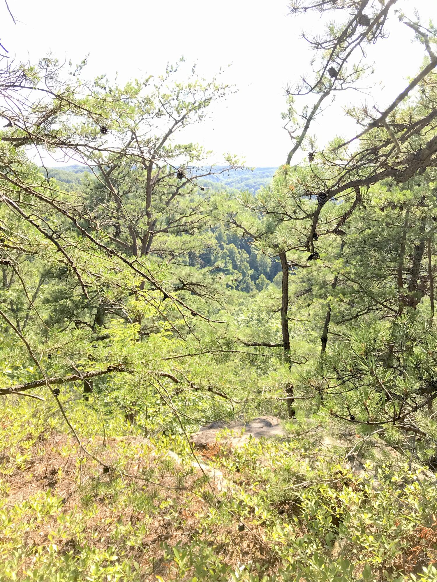 0 South Fork Property Photo 4