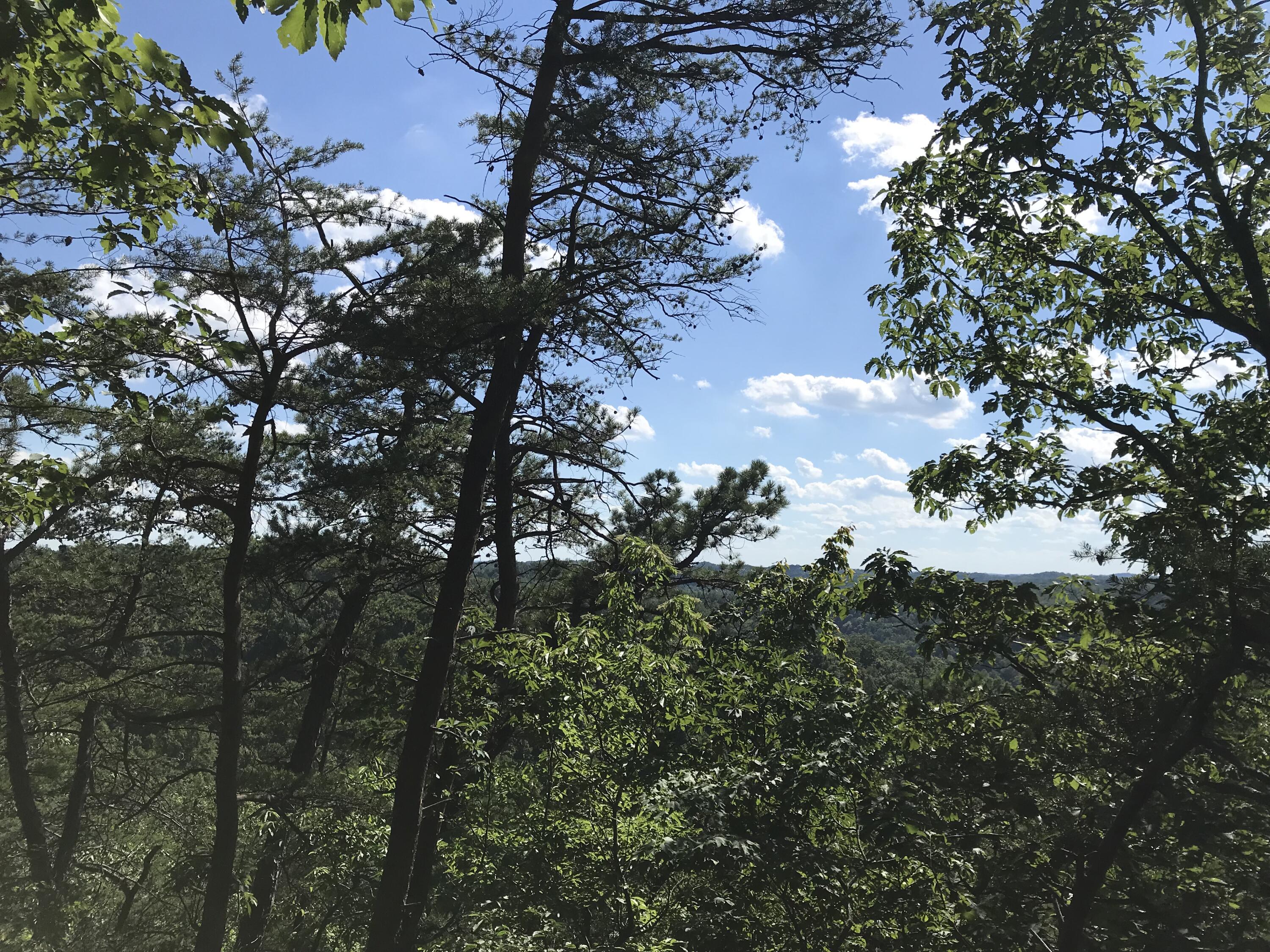0 South Fork Property Photo 5