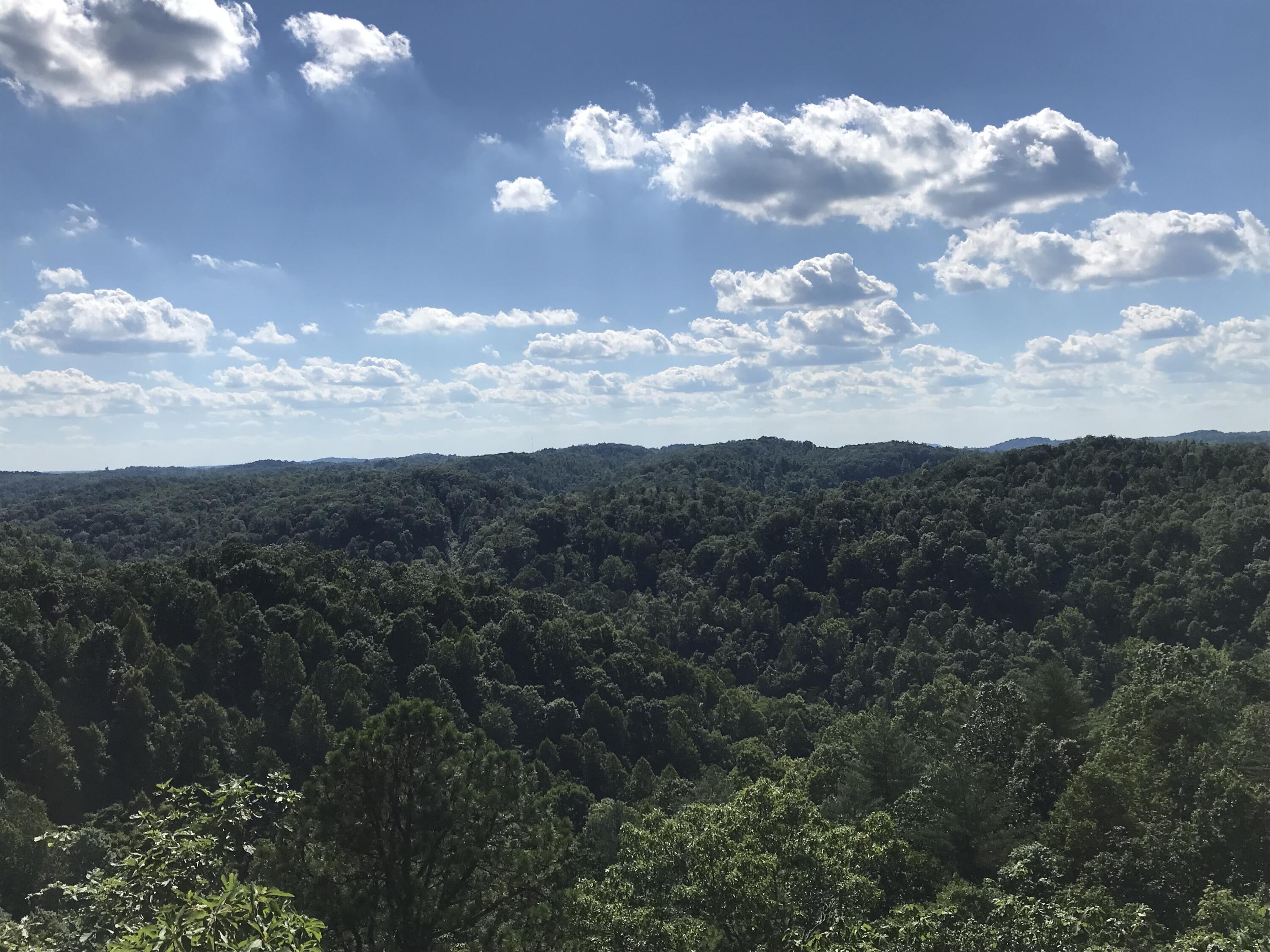 0 South Fork Property Photo 6