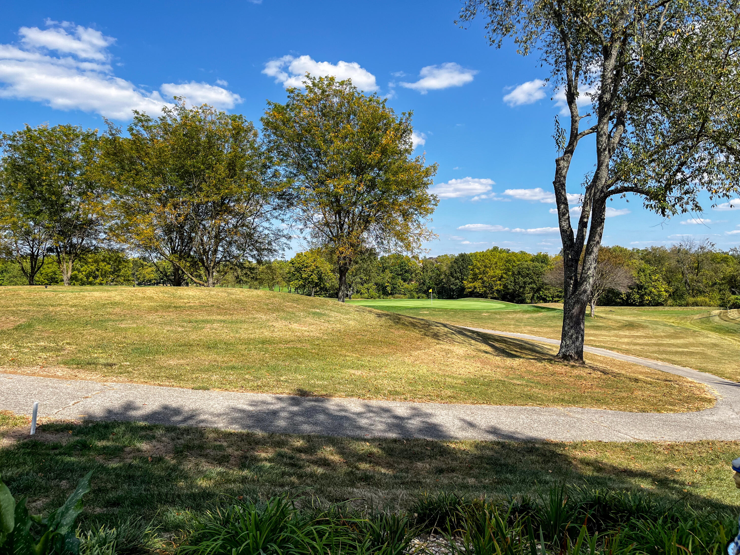 114 Bethpage Path Property Photo 49