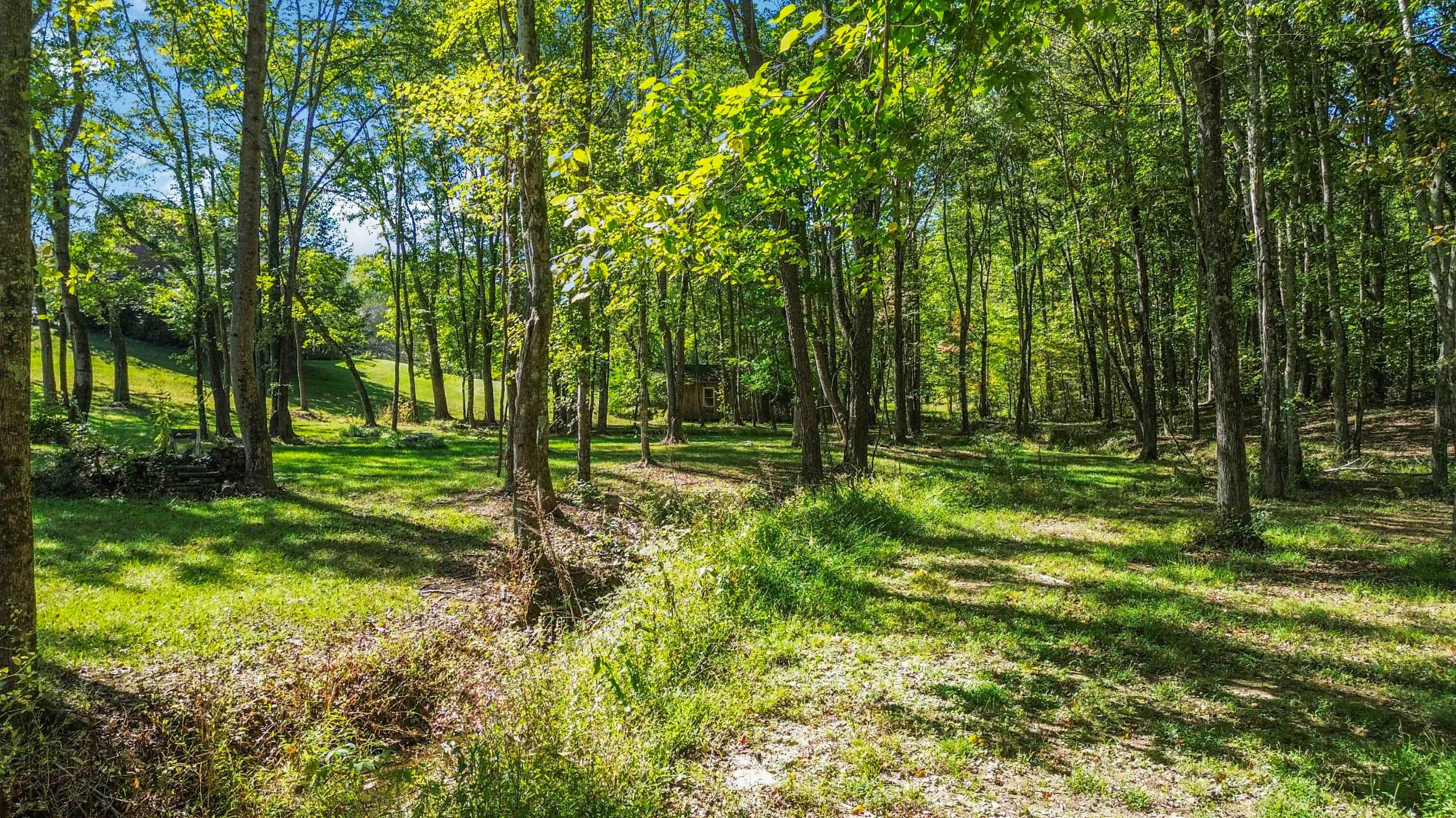 196 Club Valley Estates Road Property Photo 70