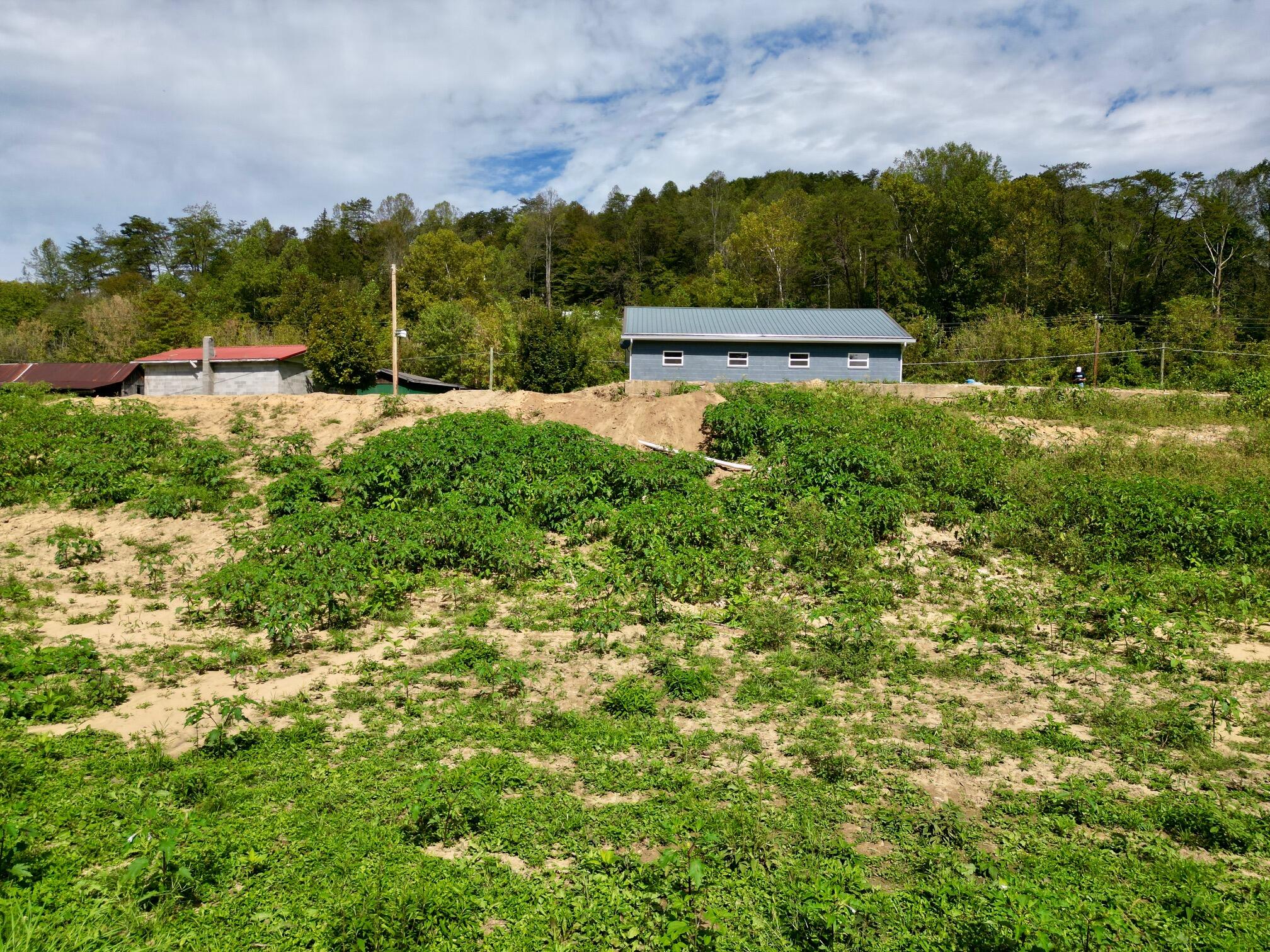 233 River Road Property Photo 34