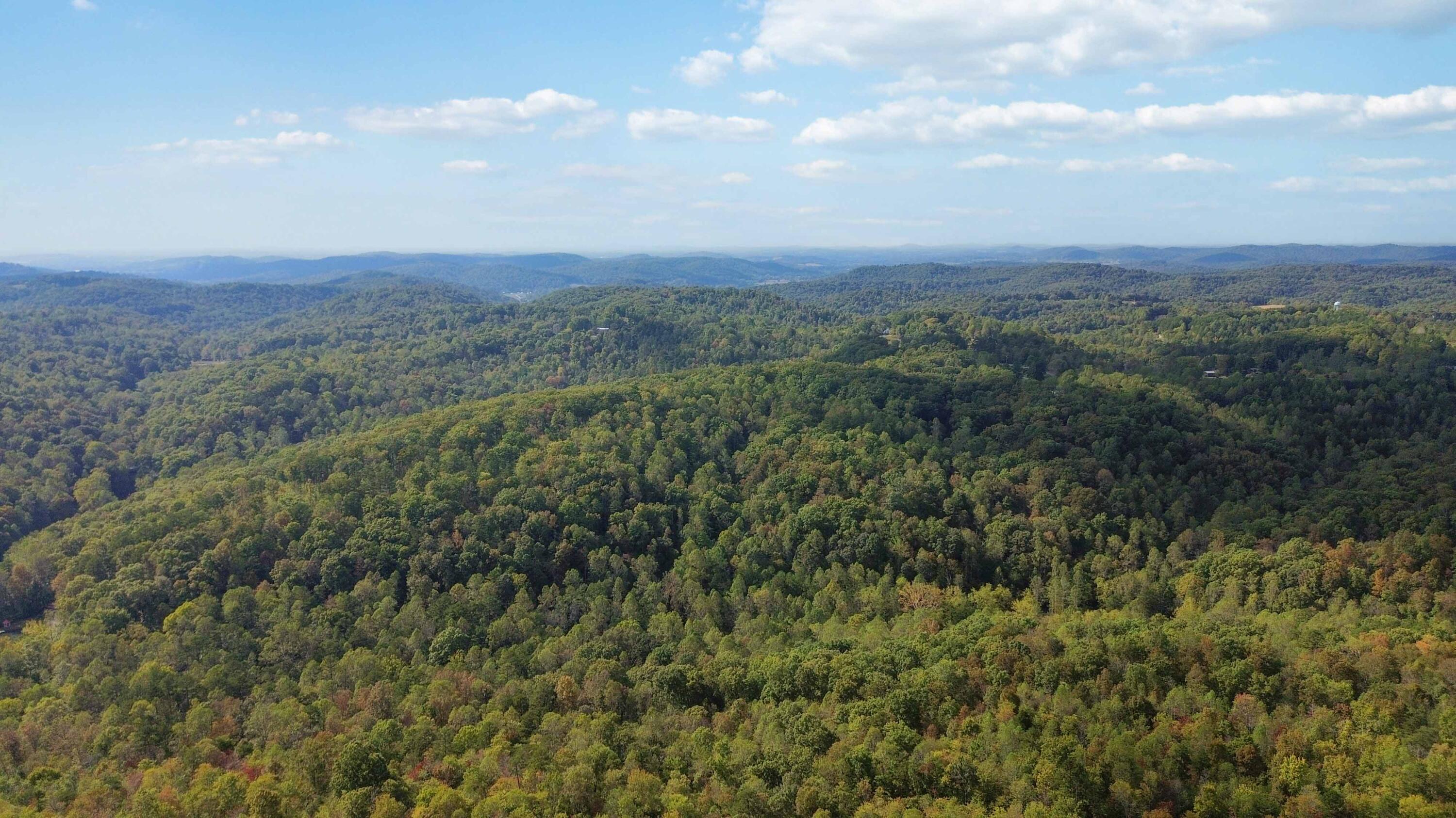 501 James Meece Road Property Photo 1