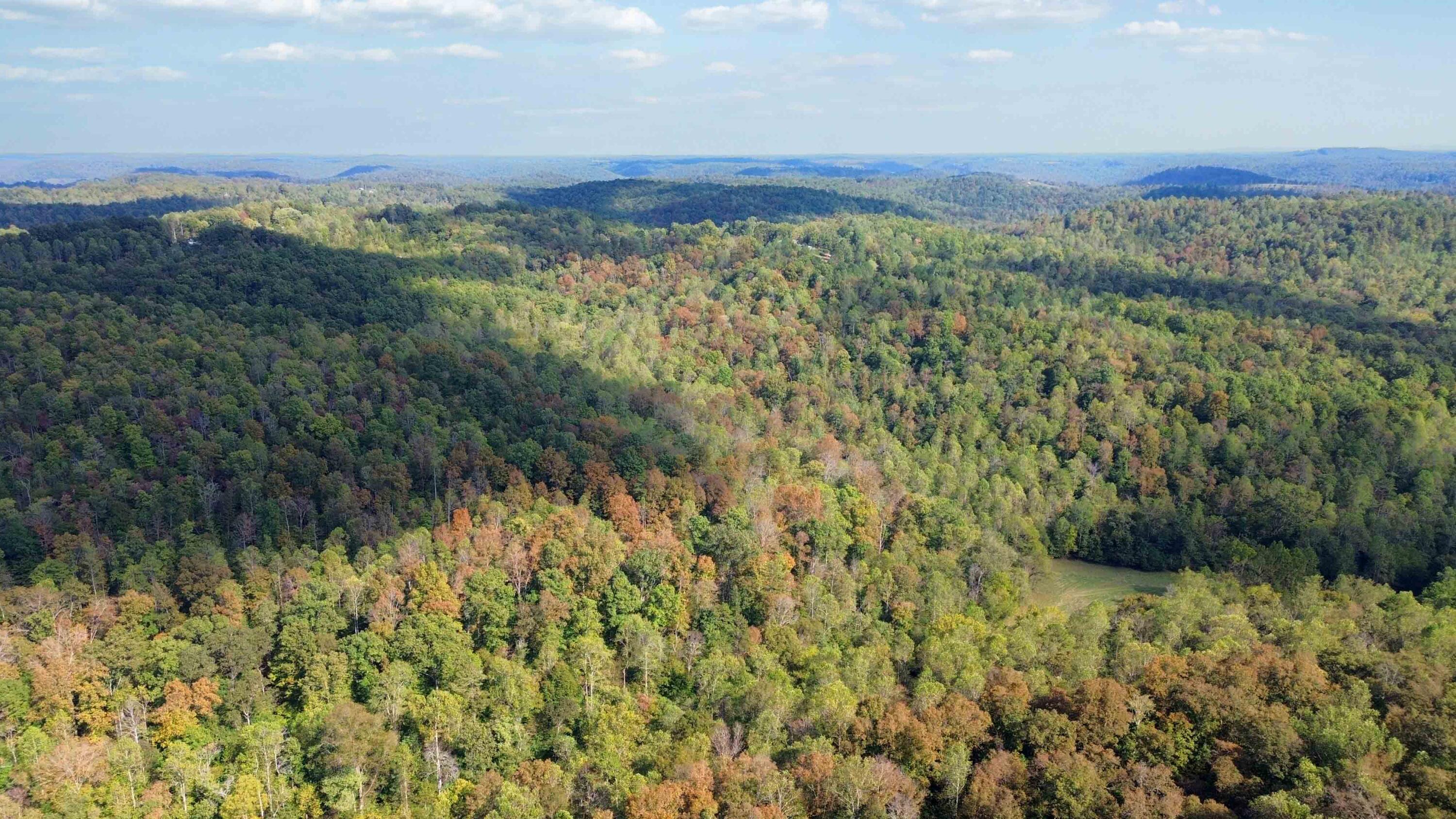 600 James Meece Road Property Photo 3