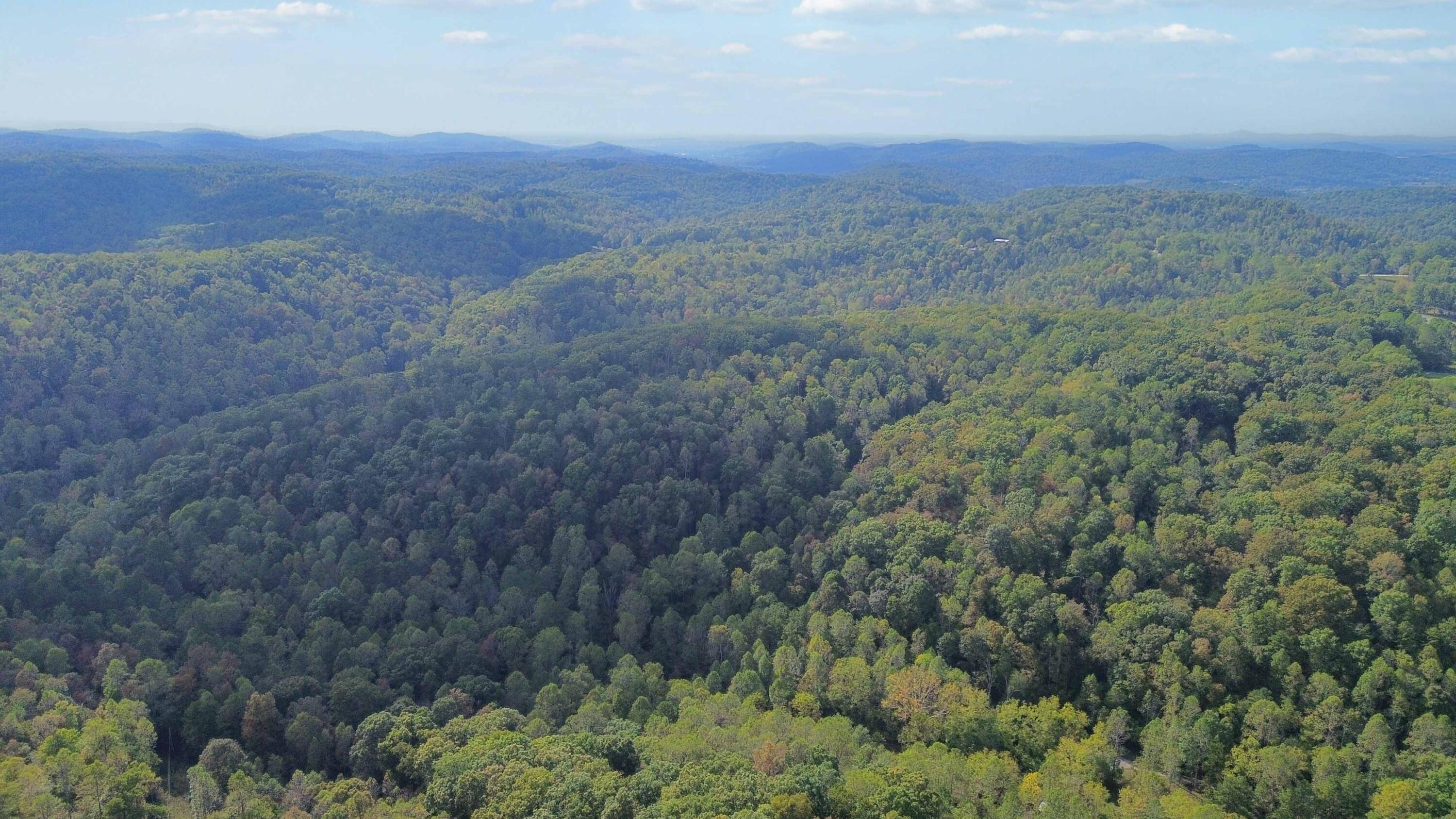 600 James Meece Road Property Photo 6