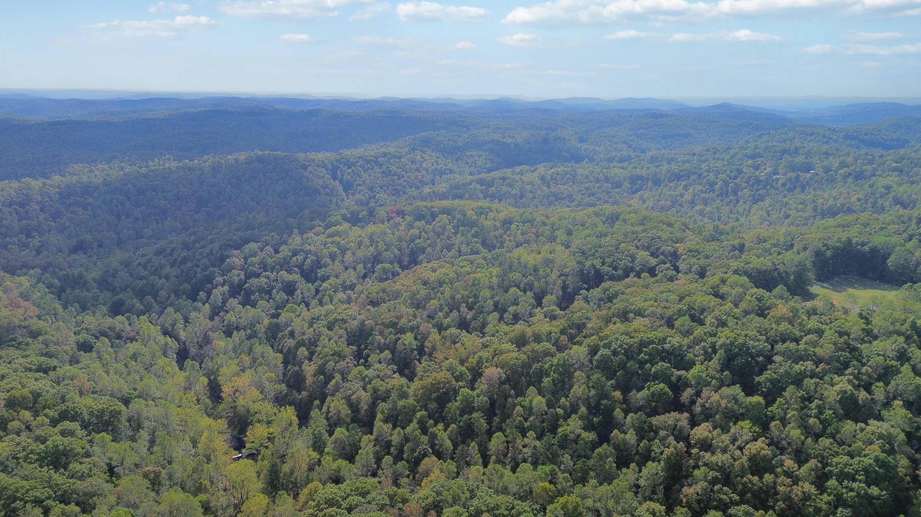 600 James Meece Road Property Photo 7