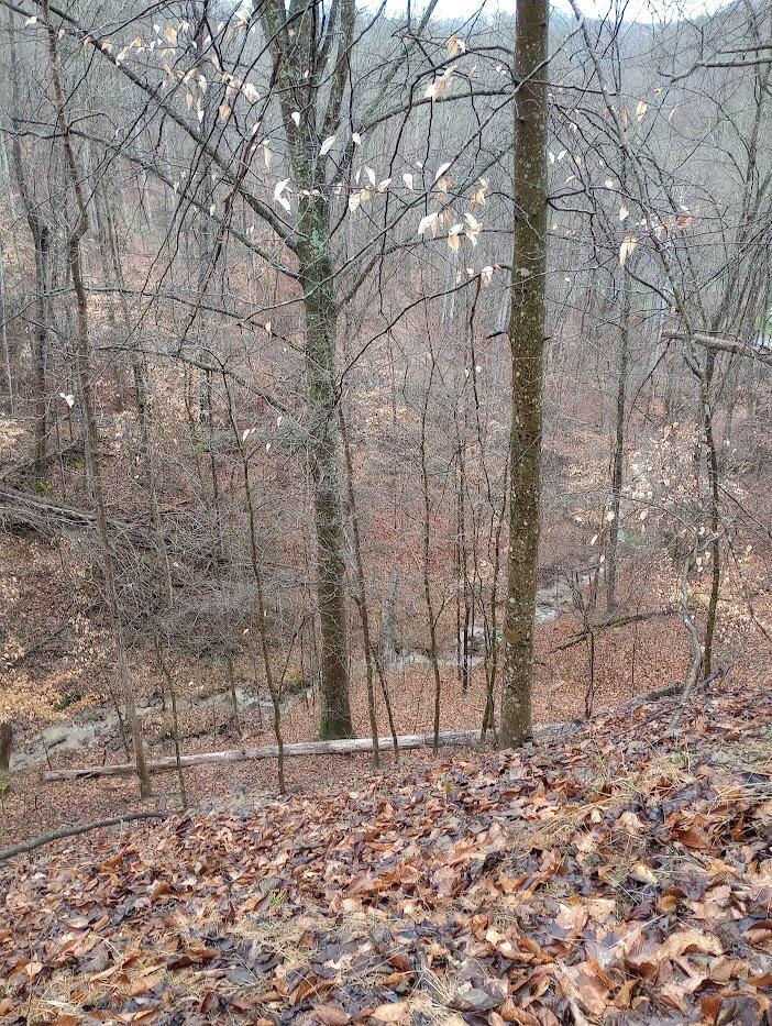 0 S Fork Road Property Photo 4