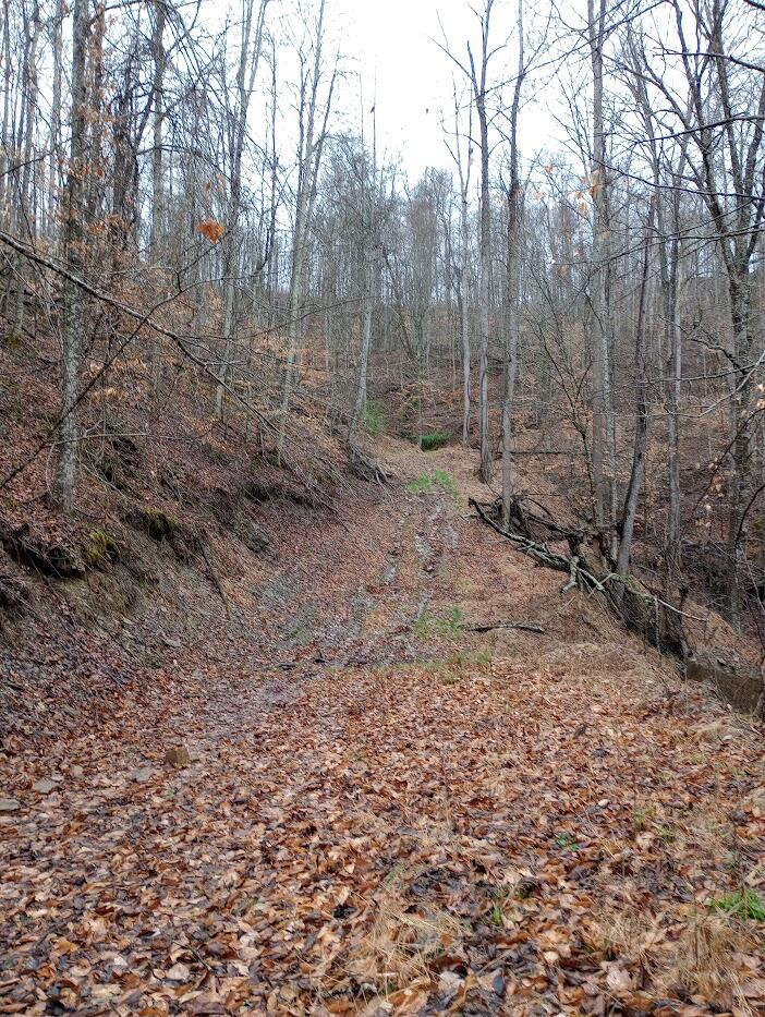 0 S Fork Road Property Photo 5