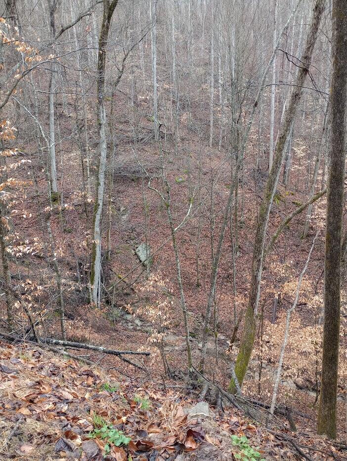 0 S Fork Road Property Photo 6